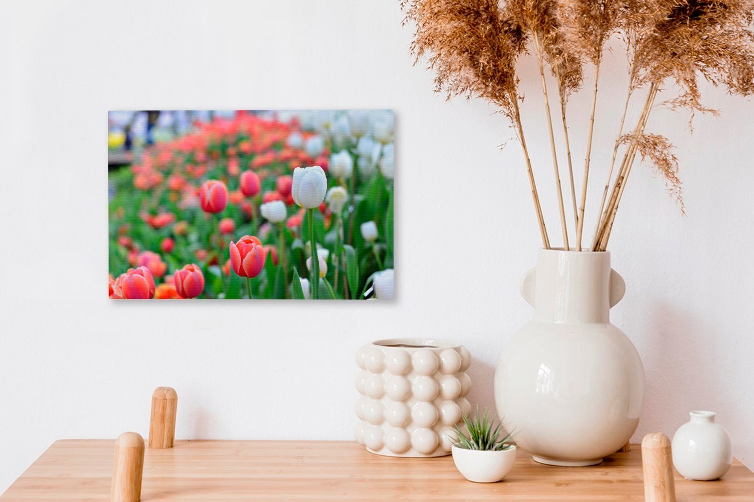 (1 cm Wanddeko, von OneMillionCanvasses® Aufhängefertig, und roten 30x20 Leinwandbilder, Nahaufnahme St), Eine Tulpen, Leinwandbild Wandbild weißen