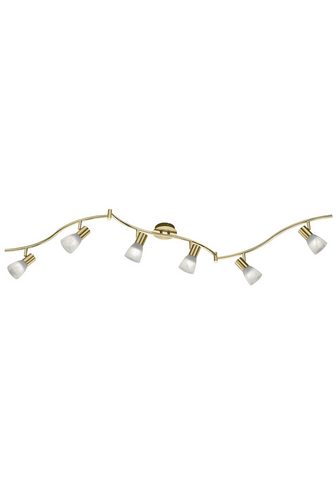 TRIO LEUCHTEN LED Deckenstrahler»LEVISTO«...