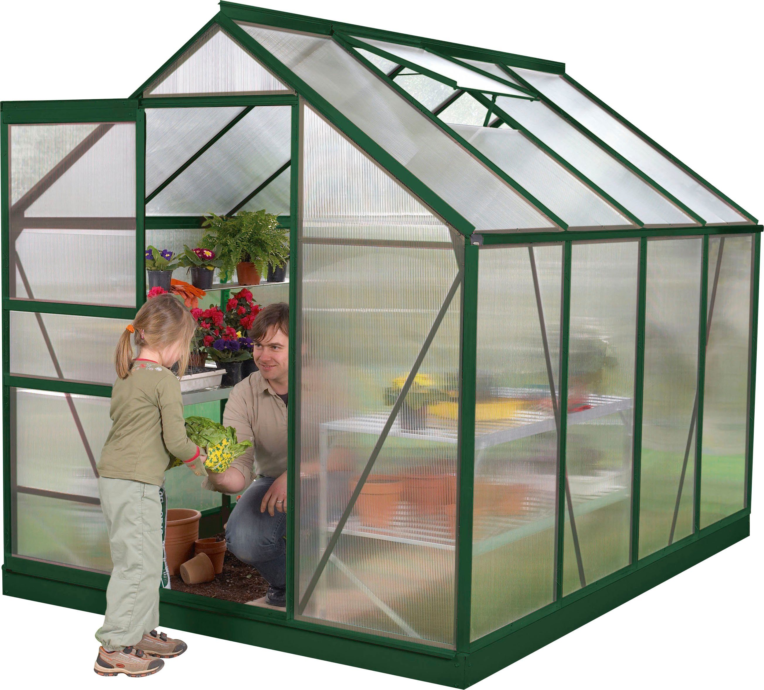 Vitavia Gewächshaus Venus 5000, BxTxH: 195 x 257 x 197 cm, 4 mm Wandstärke, Alu-Profile, 4 mm Hohlkammerplatten
