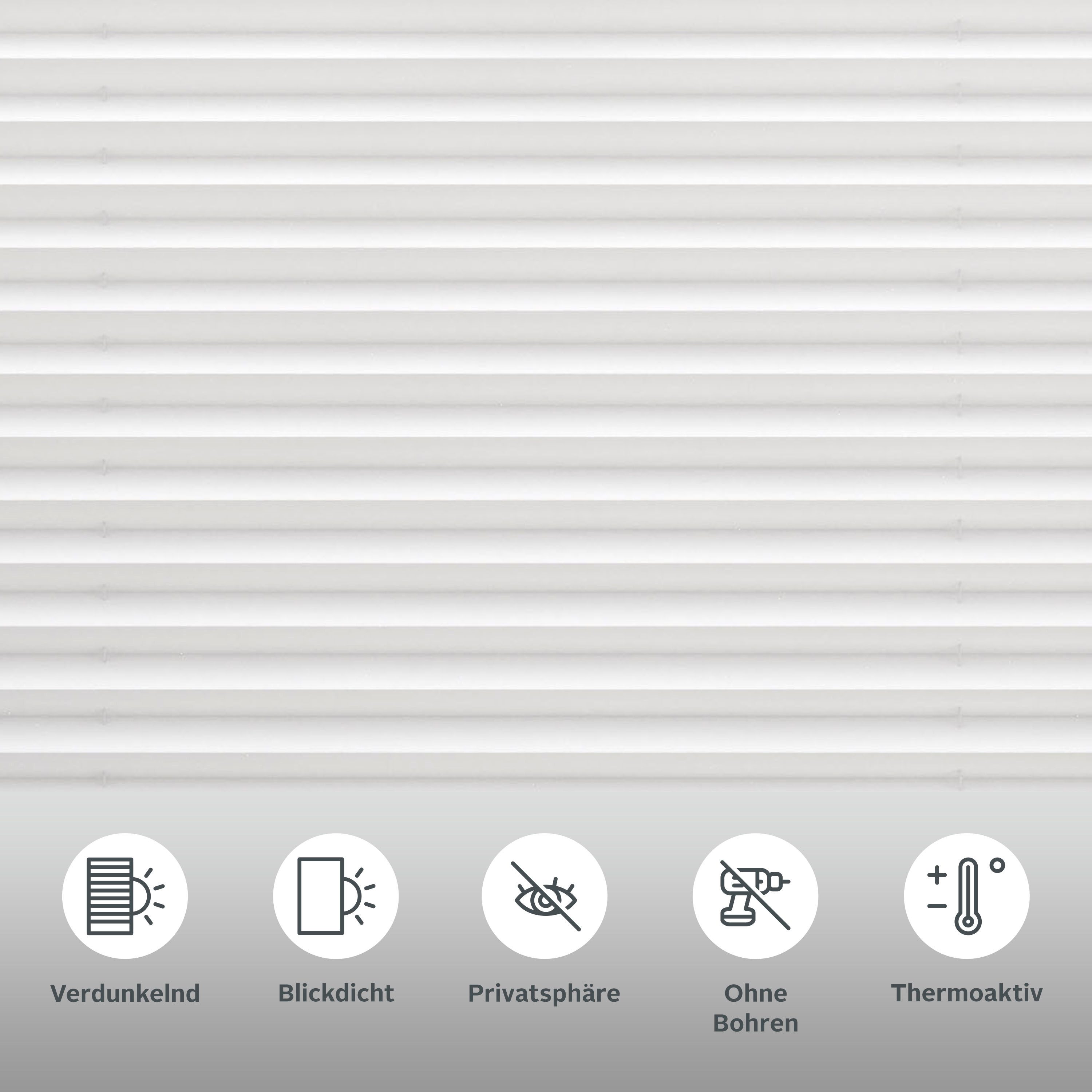 my home Plissee »Marei Thermo«, verdunkelnd, Perlreflex-beschichtet-energie günstig online kaufen