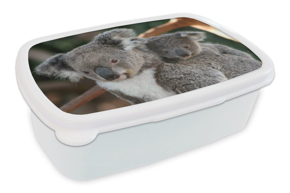 MuchoWow Lunchbox Koalas - Vater - Kind - Jungen - Mädchen, Kunststoff, (2-tlg), Brotbox für Kinder und Erwachsene, Brotdose, für Jungs und Mädchen weiß