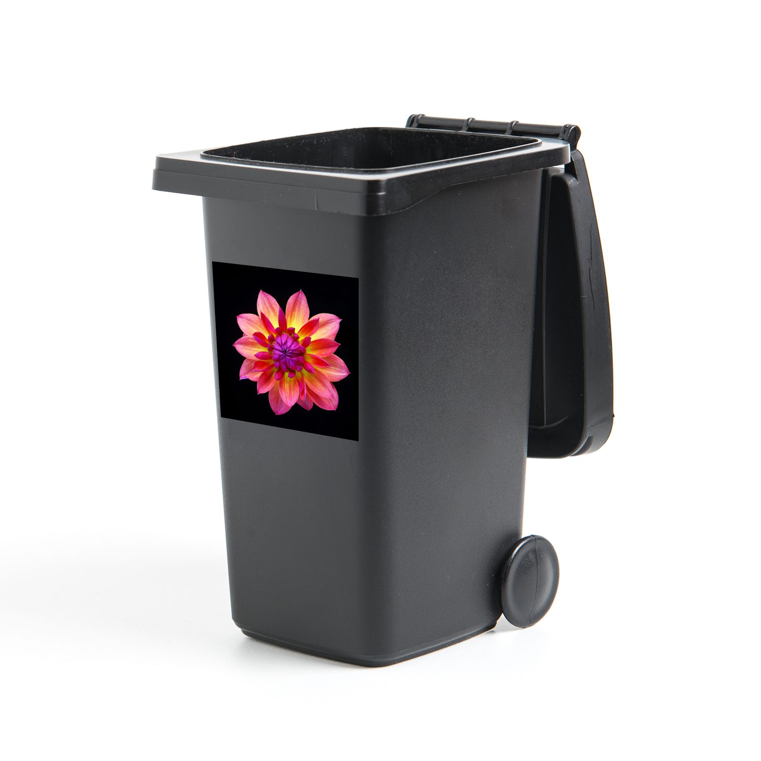 MuchoWow Wandsticker Eine Nahaufnahme der mehrfarbigen Dahlienblüte auf schwarzem (1 St), Mülleimer-aufkleber, Mülltonne, Sticker, Container, Abfalbehälter