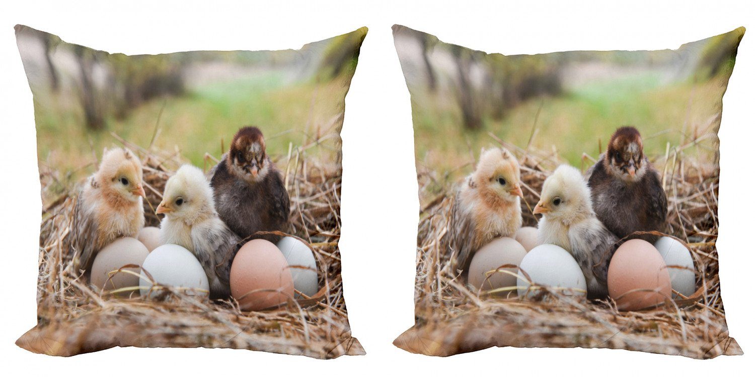 Kissenbezüge Modern Accent Doppelseitiger Digitaldruck, Abakuhaus (2 Stück), Chicks Kleine Hühner in Hay Eier