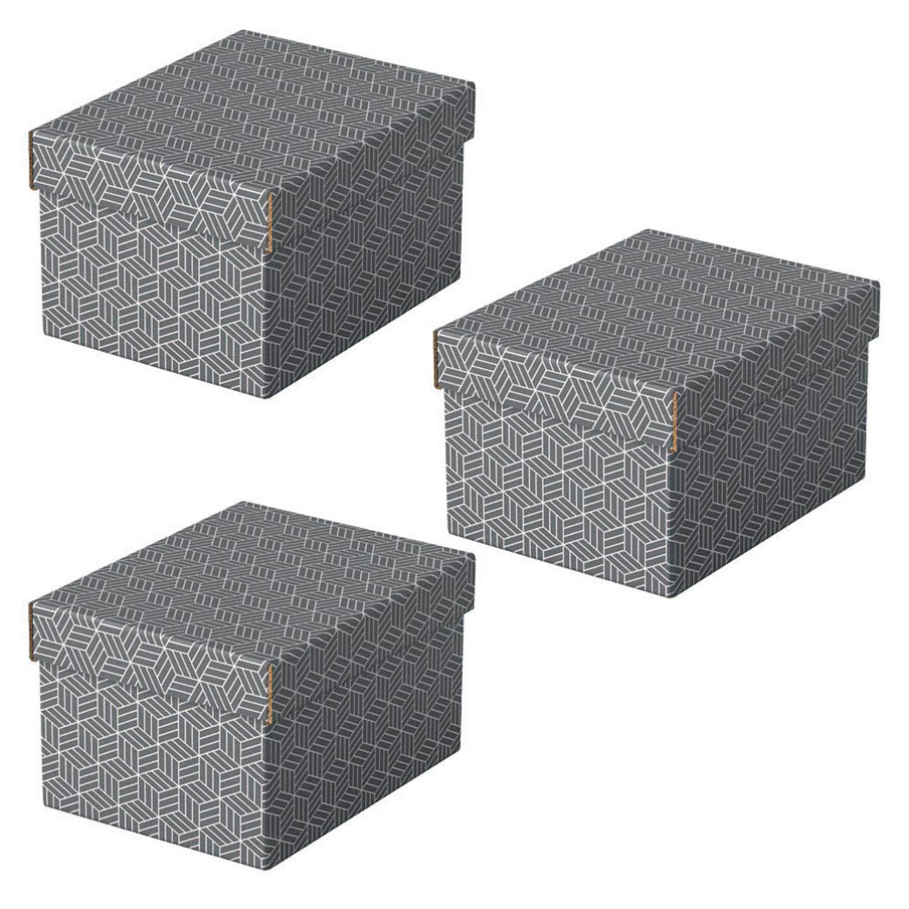 EBUY Aufbewahrungsbox 3 Aufbewahrungsboxen 6,5 l grau 20,0 x 25,5 x 15,0 cm (3 St)