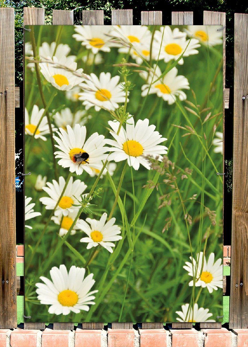 Thumbnail - Wallario Sichtschutzzaunmatten Margeritenwiese