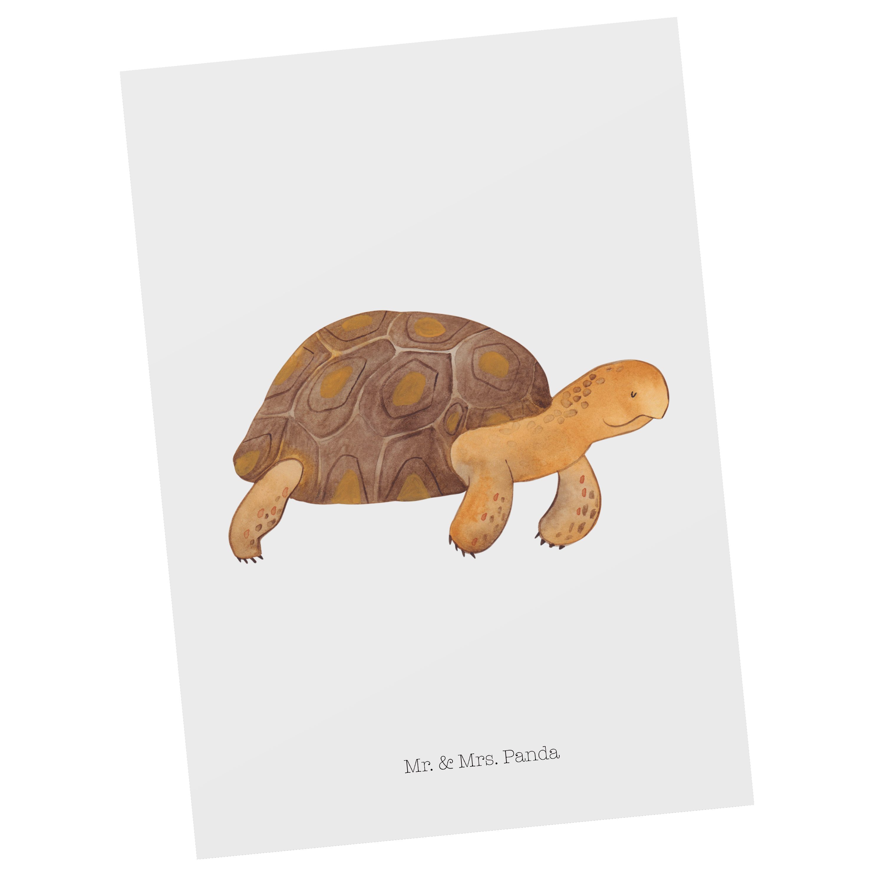Mr. & Mrs. Panda Postkarte Schildkröte marschiert - Weiß - Geschenk, Neustart, Ansichtskarte, Ge