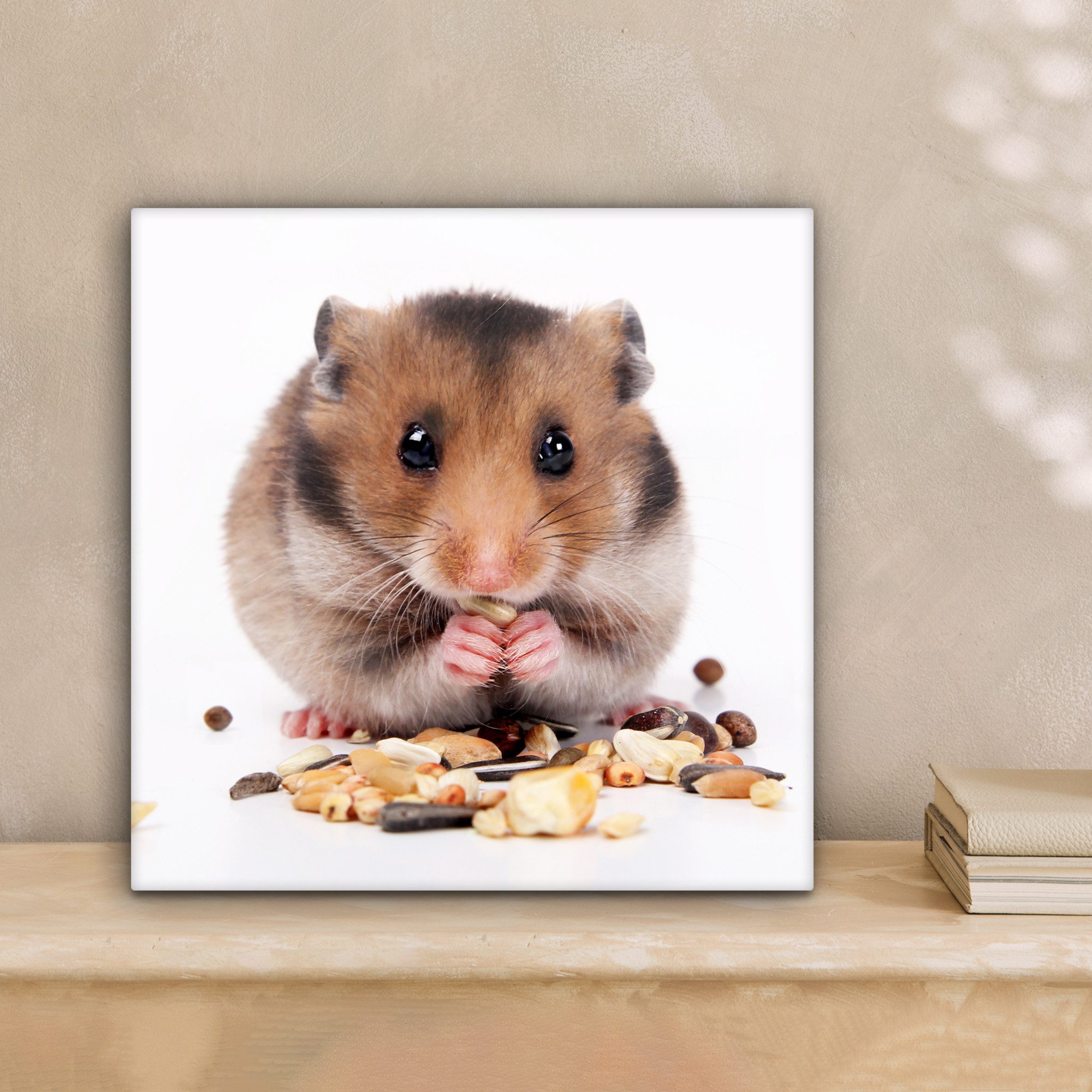 OneMillionCanvasses® Leinwandbild Hamster frisst Samen, Fotodruck (1 St), W günstig online kaufen