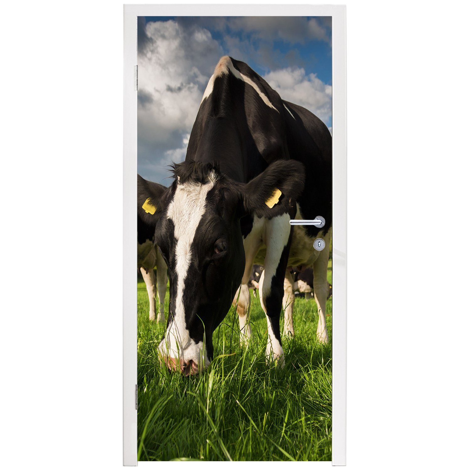 - - (1 Bauernhof, MuchoWow Türtapete cm Matt, - Kühe - Fototapete Gras St), für bedruckt, Türaufkleber, Tiere Tür, 75x205 Wiese