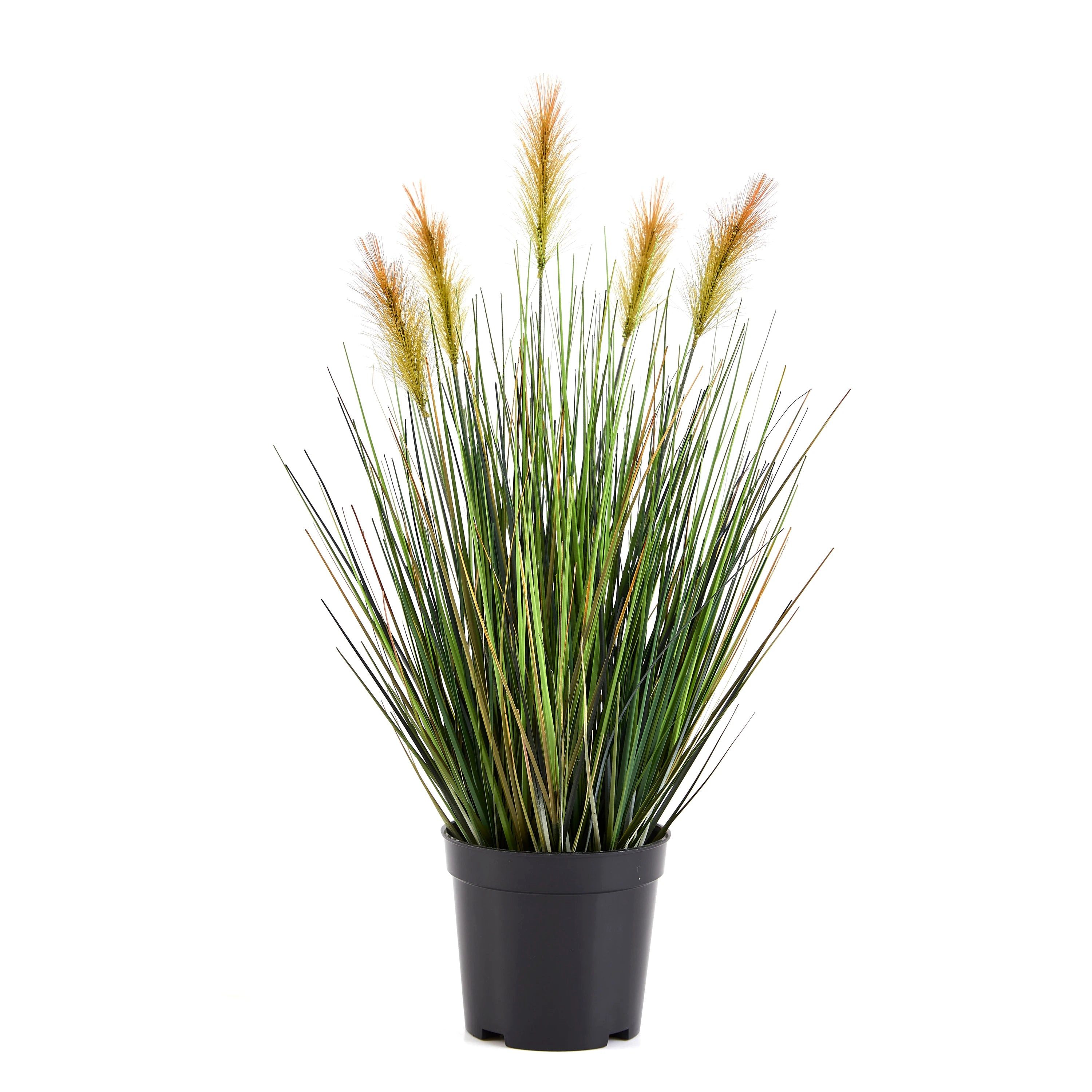 Kunstpflanze Künstliches Lampenputzergras – Orpheus, 45 cm, aplanta