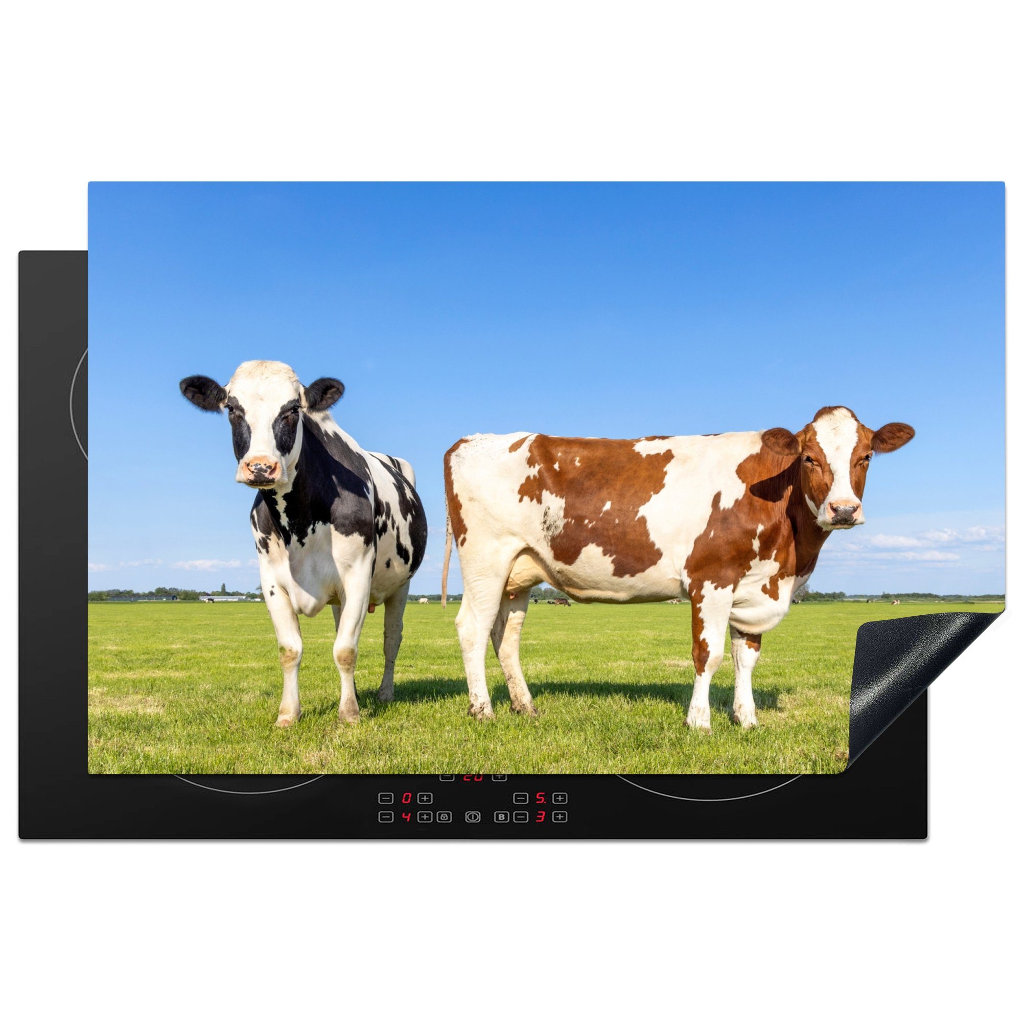MuchoWow Herdblende-/Abdeckplatte Kühe - Bauernhof - Gras - Natur - Tiere, Vinyl, (1 tlg), 81x52 cm, Induktionskochfeld Schutz für die küche, Ceranfeldabdeckung