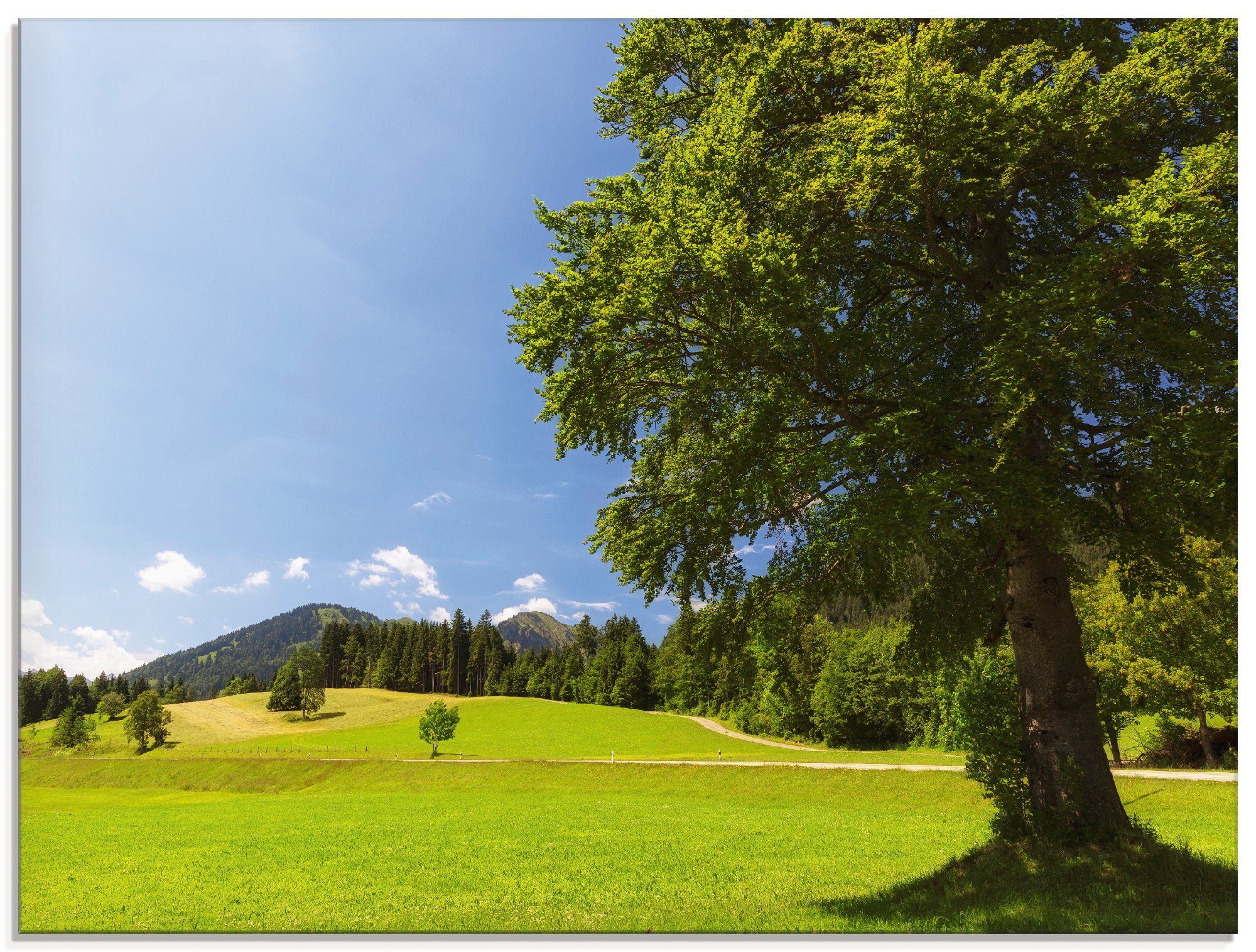 Artland Glasbild Bayrische Landschaft, Wiesen & Bäume (1 St), in verschiedenen Größen