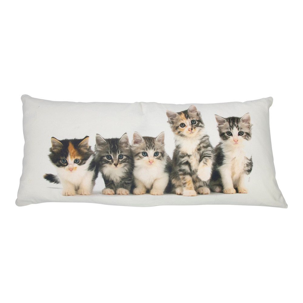 Mars & More Dekokissen Kissen Deko Katzen Weiß Länglich Baumwolle 50 cm, Katzen