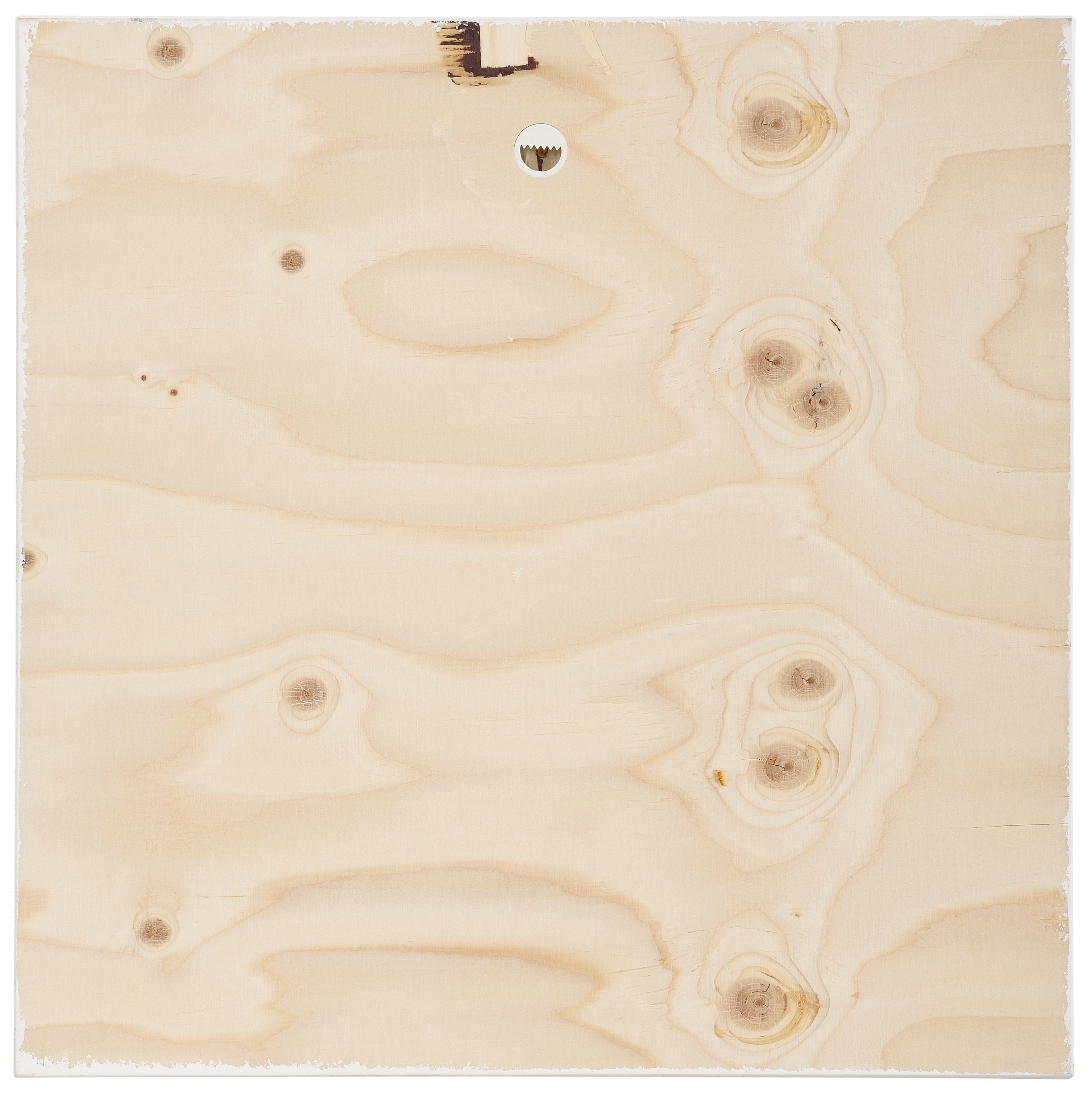 Home affaire Holzbild »Rosa Blumen«, 40/40 cm-kaufen