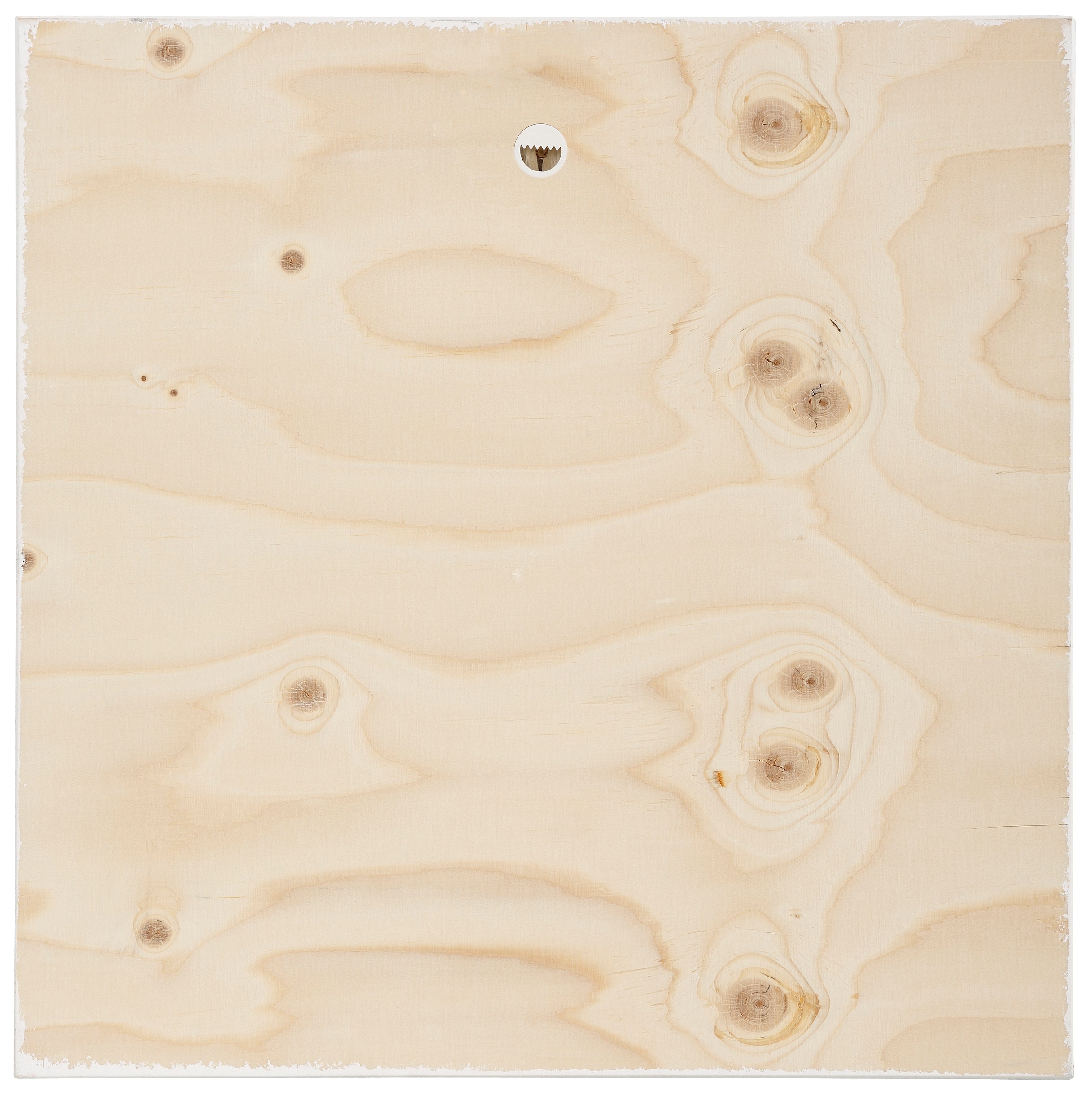 Home affaire Holzbild »Rosa Blume«, 40/40 cm-kaufen