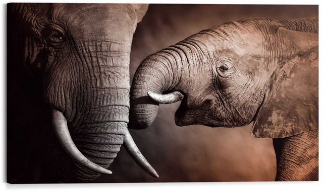 Reinders! Wandbild »Wandbild Elefanten Familie Afrika - Mutterliebe - Rüssel - Stoßzähne«, Elefanten (1 Stück)-Otto