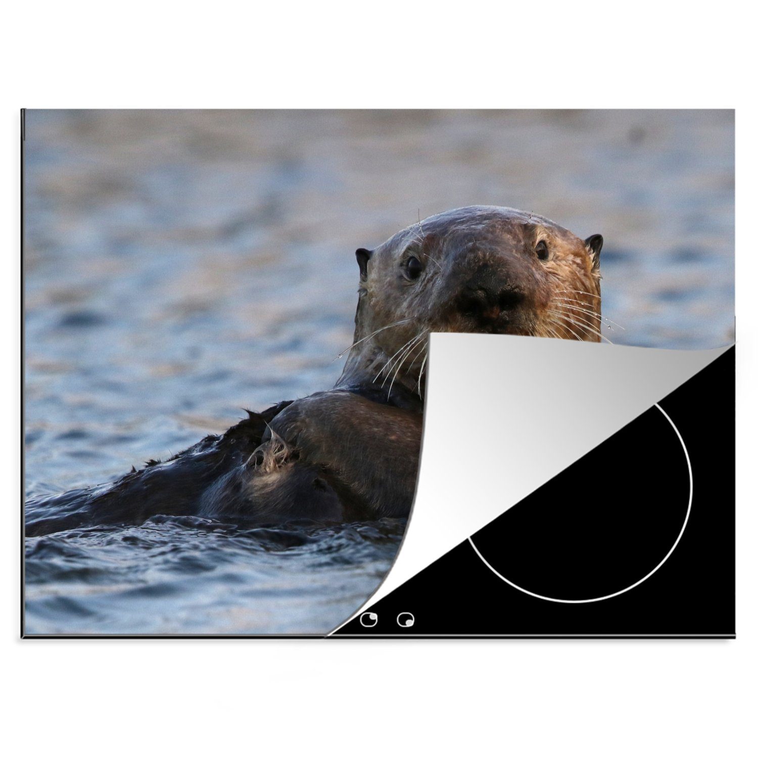 MuchoWow Herdblende-/Abdeckplatte Tiere - Otter - Schwimmen, Vinyl, (1 tlg), 70x52 cm, Mobile Arbeitsfläche nutzbar, Ceranfeldabdeckung