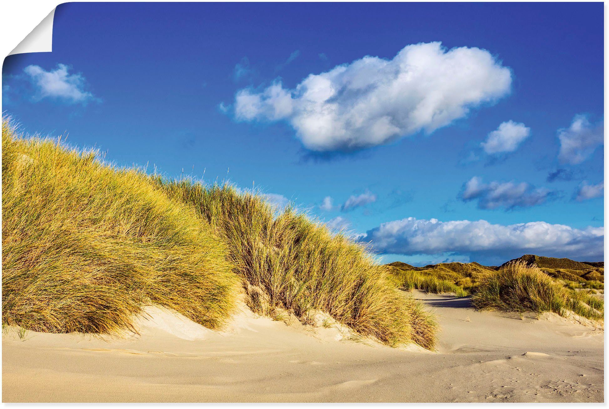 Artland Wandbild »Landschaft mit Dünen Insel Amrum«, Strandbilder (1 Stück), in vielen Größen & Produktarten - Alubild / Outdoorbild für den Außenbereich, Leinwandbild, Poster, Wandaufkleber / Wandtattoo auch für Badezimmer geeignet-Otto
