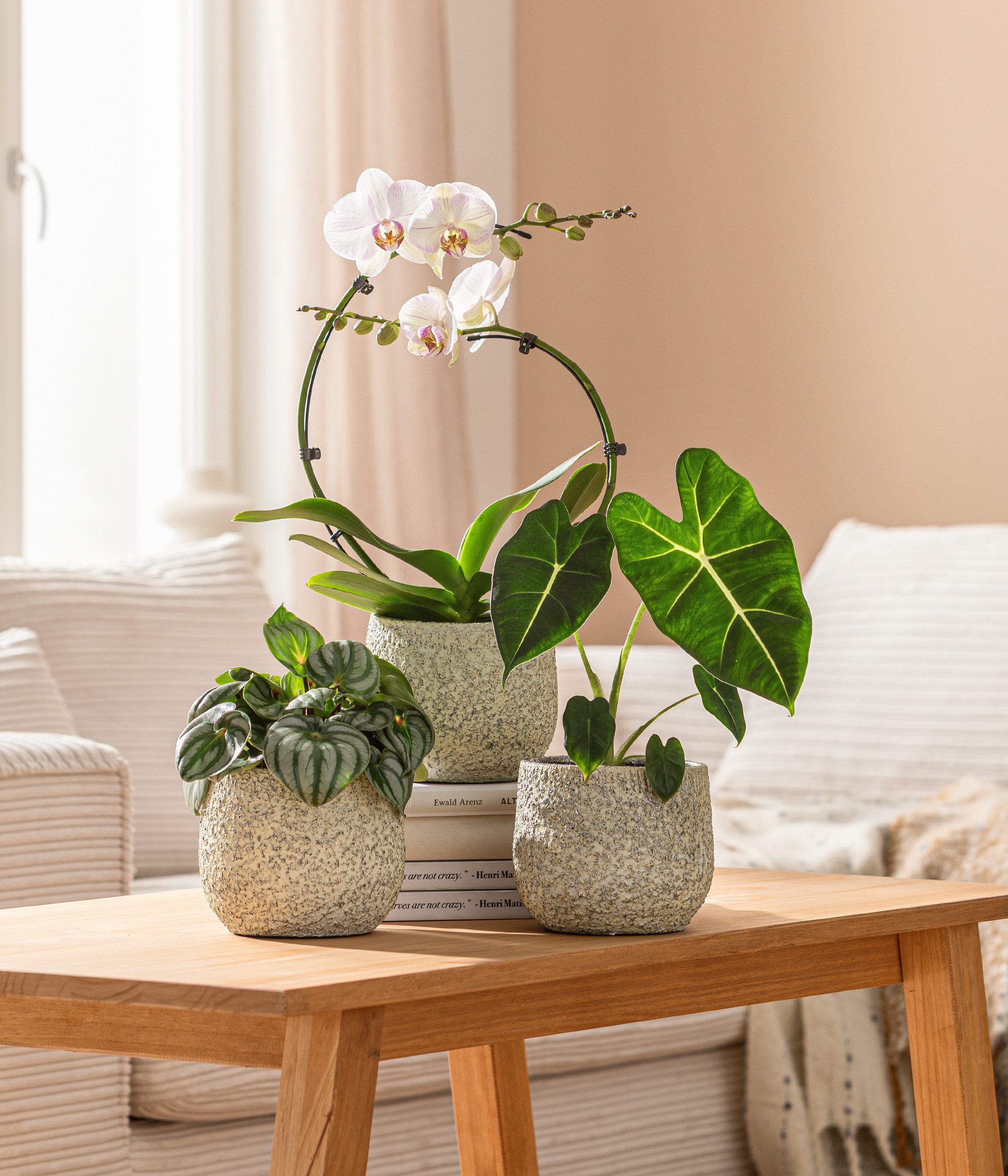 Dehner Übertopf Yves, strukturiert, Keramik, silber