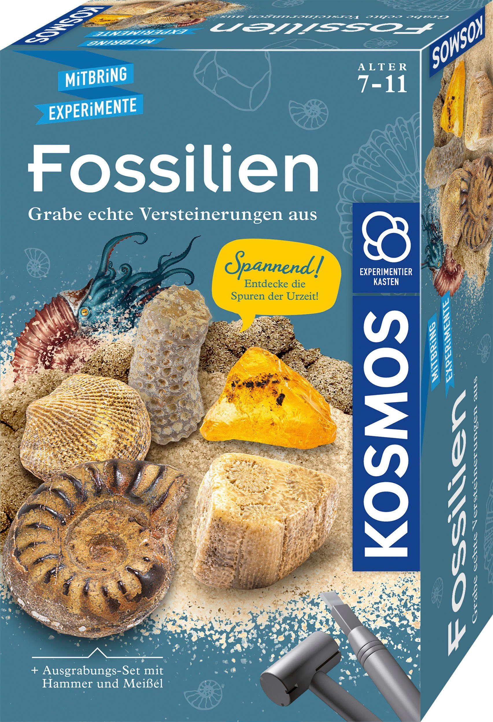 Experimentierkasten Fossilien