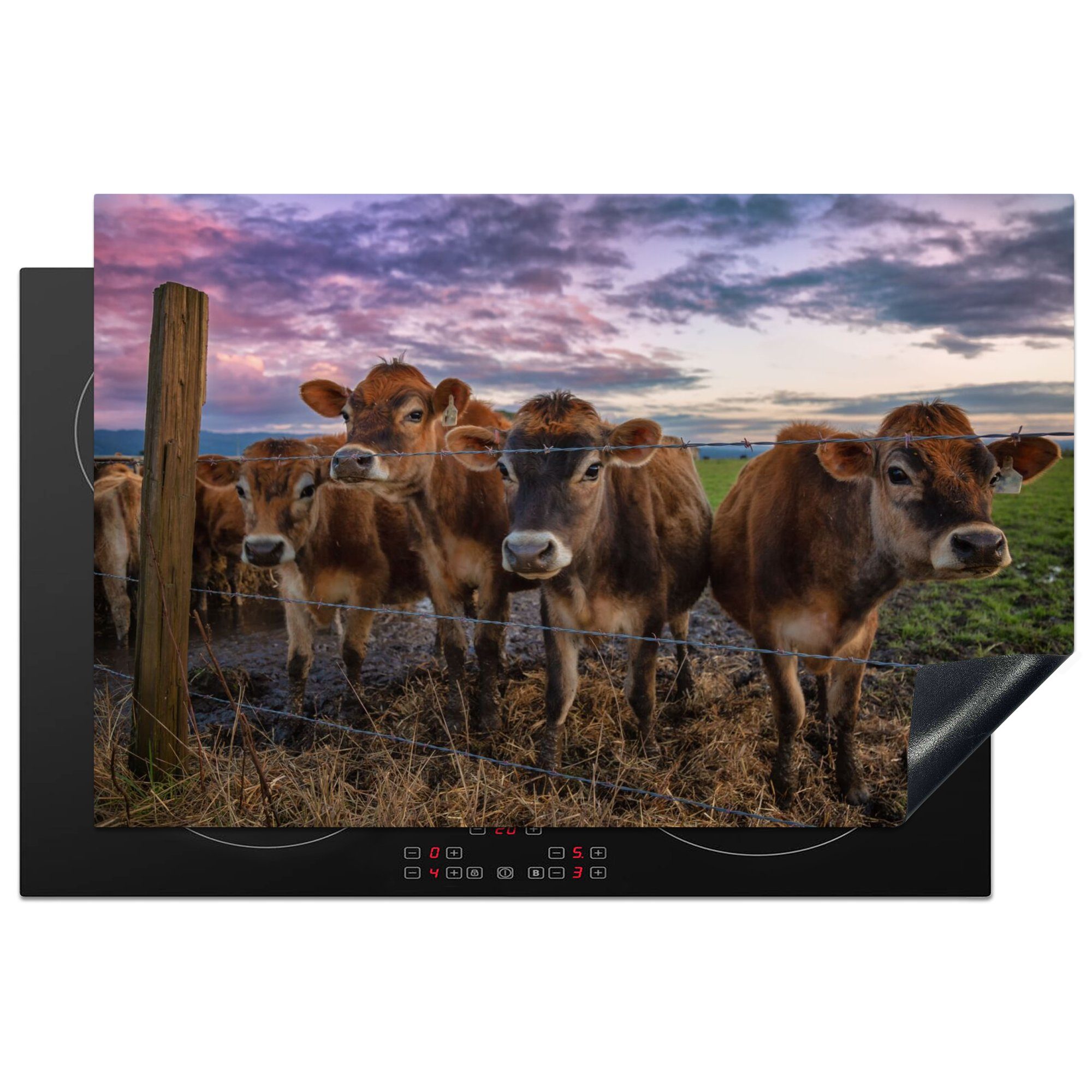 MuchoWow Herdblende-/Abdeckplatte Kuh - Tiere - Kühe, Vinyl, (1 tlg), 81x52 cm, Ceranfeldabdeckung, Arbeitsplatte für küche