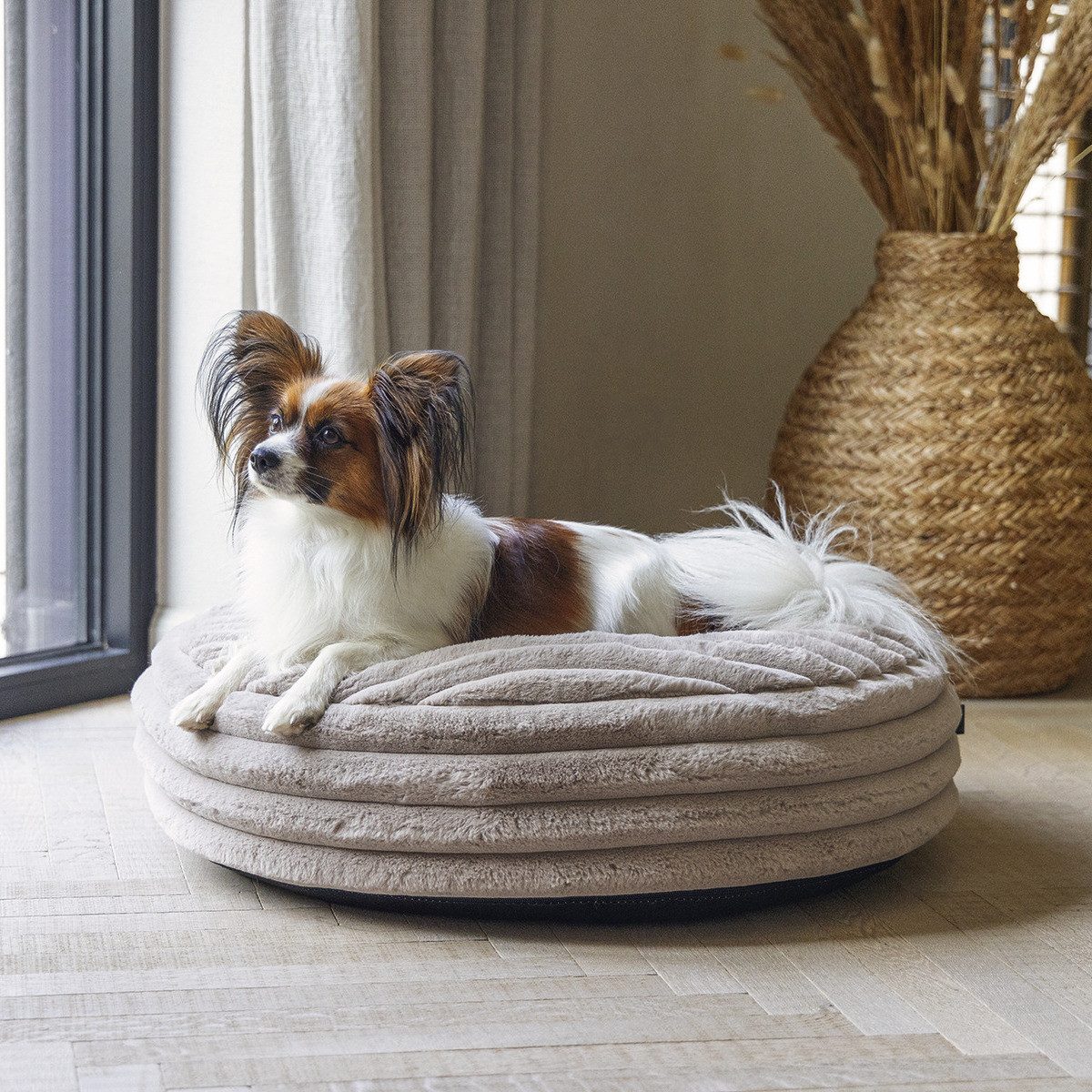 Designed By Lotte Tierkissen Hundekissen Reza günstig online kaufen