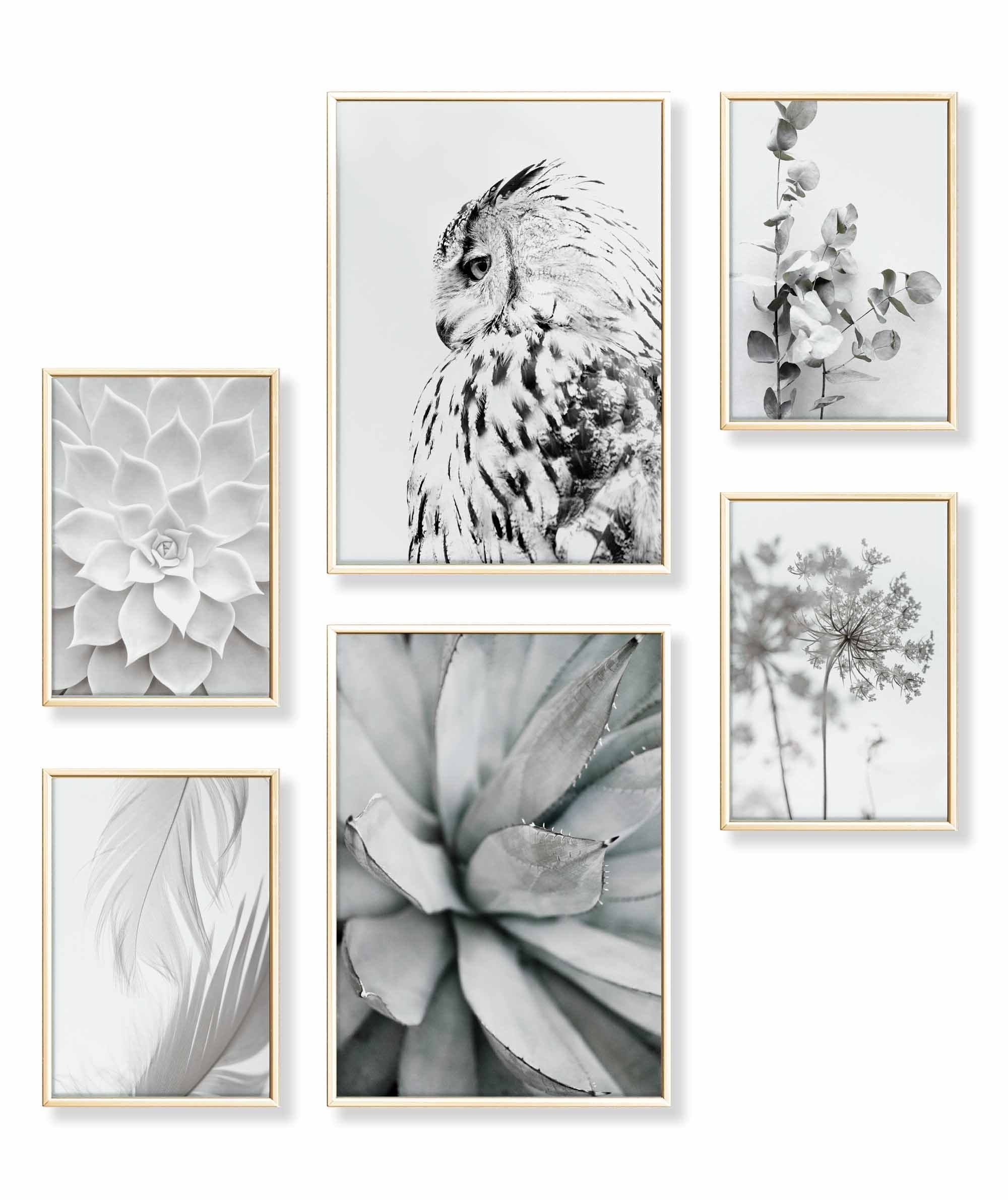 Poster Set als Wohnzimmer Deko, Bilder DINA3 & DINA4, Agave Eukalyptus Eule
