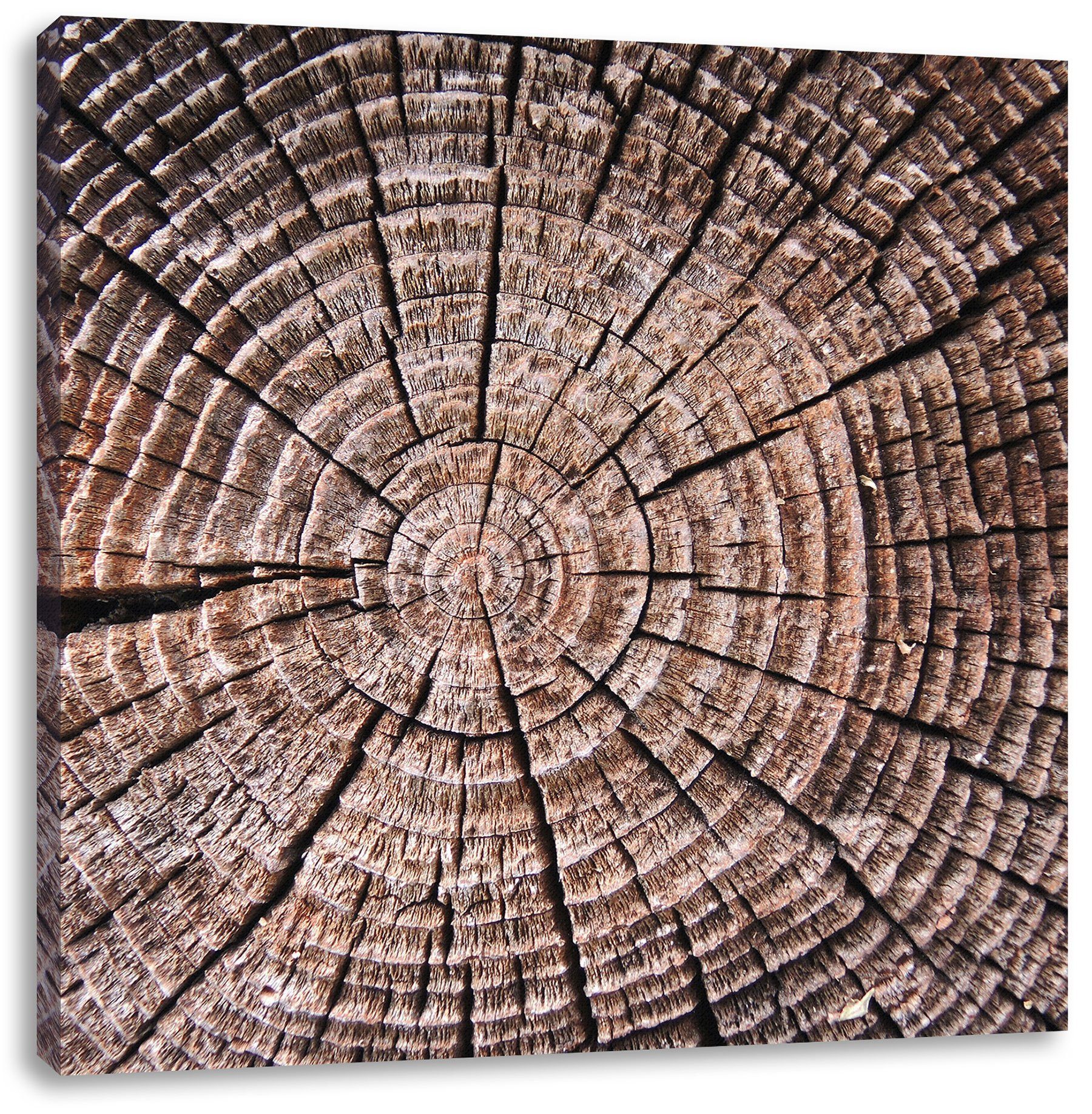 Leinwandbild Baumstamm bespannt, Zackenaufhänger (1 Jahresringe St), fertig Baumstamm Leinwandbild Pixxprint Jahresringe, inkl.