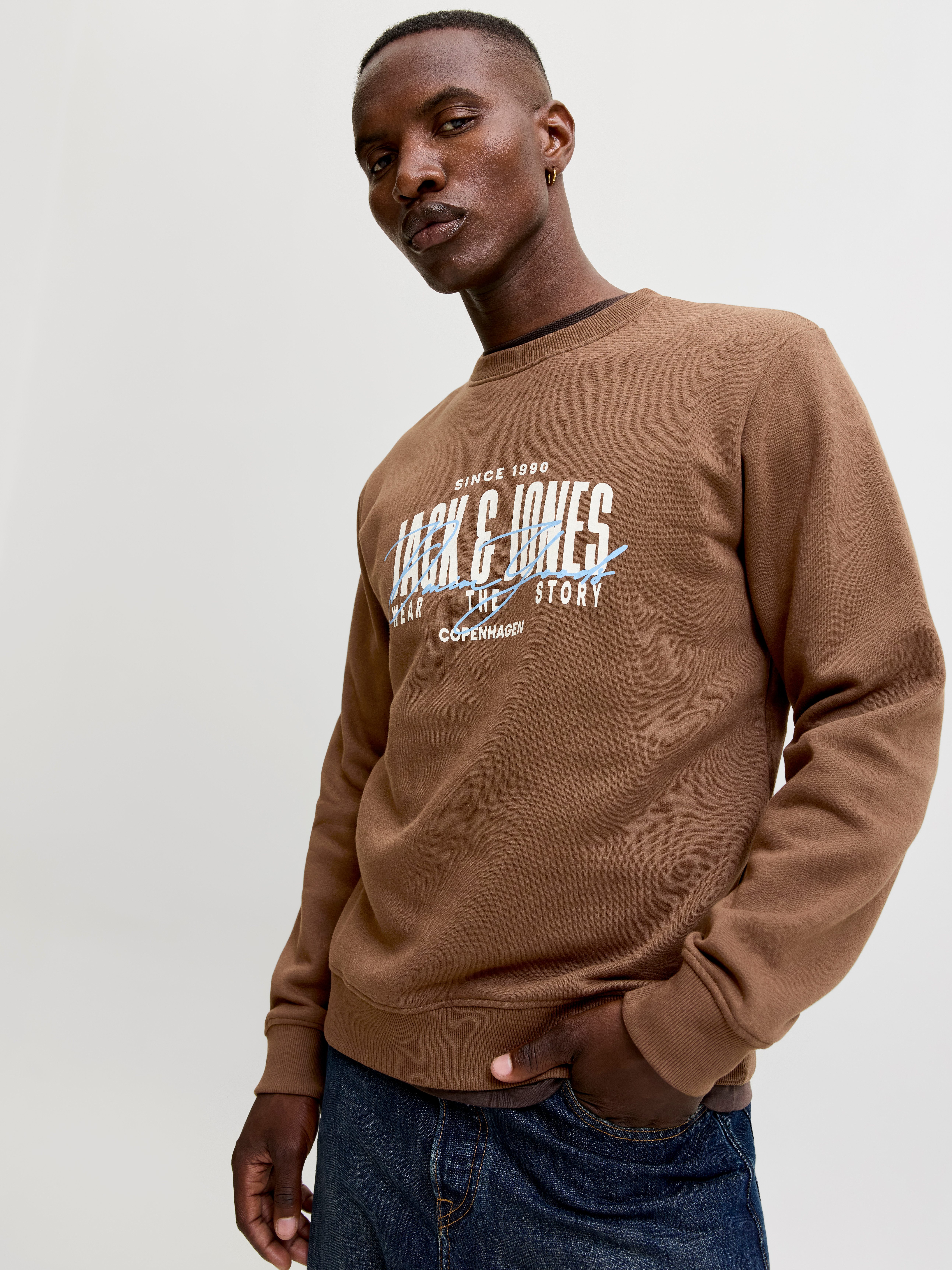 Jack & Jones Sweatshirt JJAERO SWEAT CREW NECK Materialmix, regular fit – Bild 2 von 5