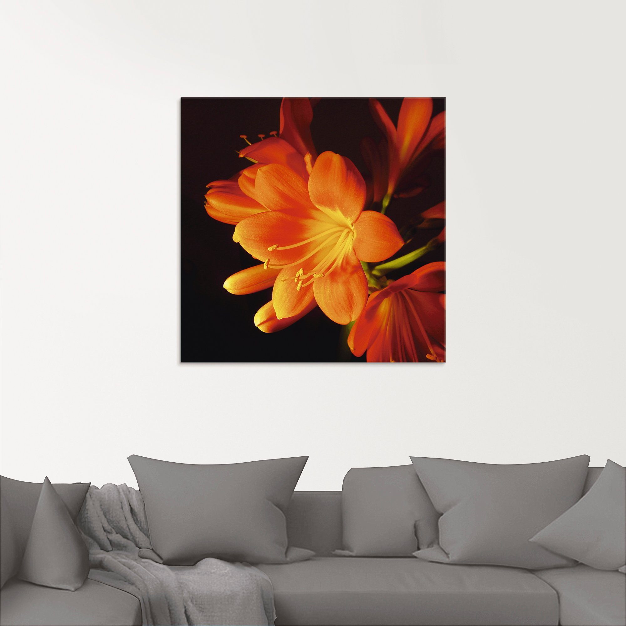 Artland Glasbild (1 in Orange, St), verschiedenen leuchtendem in Größen Blumen Clivie