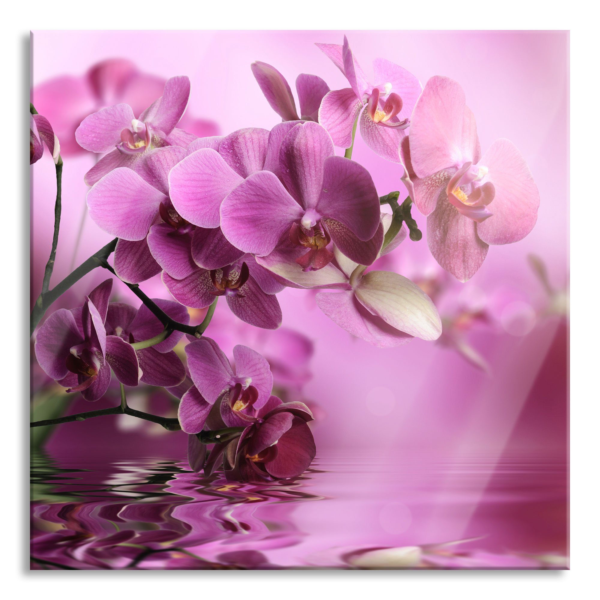 Echtglas, Orchideenblüten, Wunderschöne und Abstandshalter Aufhängungen St), Orchideenblüten Glasbild (1 Glasbild Wunderschöne inkl. Pixxprint aus