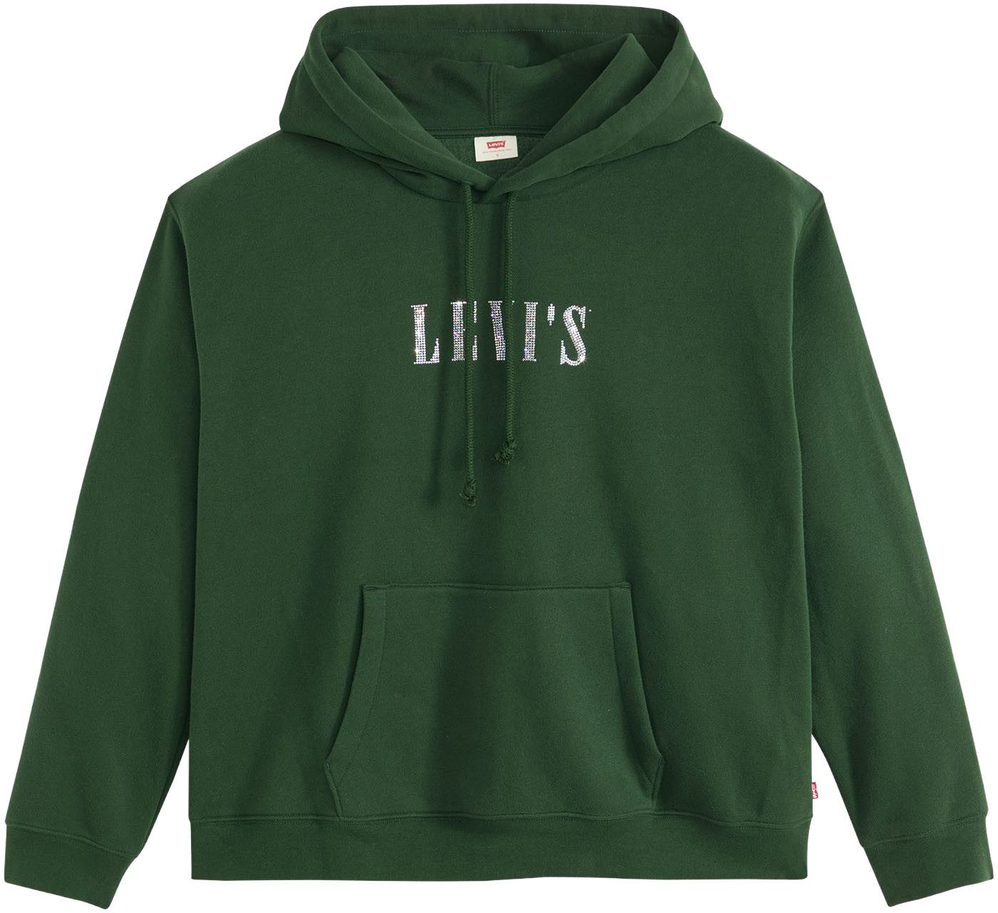 Levi's® Hoodie GRAPHIC EVERYDAY mit Kapuze