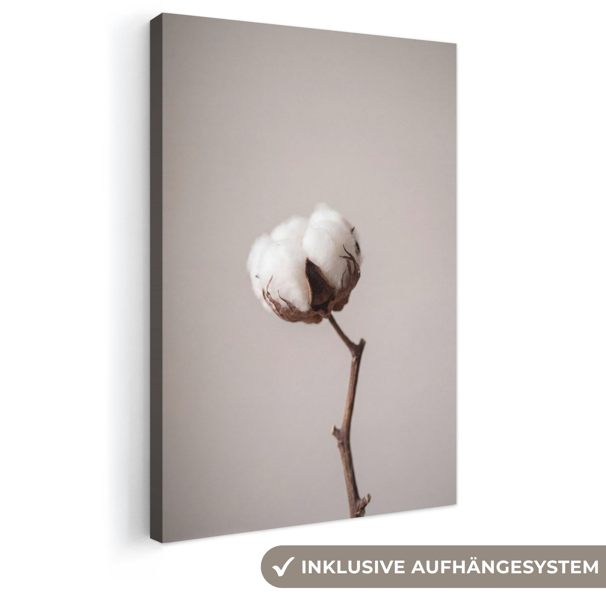 OneMillionCanvasses® Leinwandbild Wattebausch - Minimalistisch - Weiß, Fotodruck (1 St), Leinwand Canvas Wandbild, Wanddekoration 20x30 cm