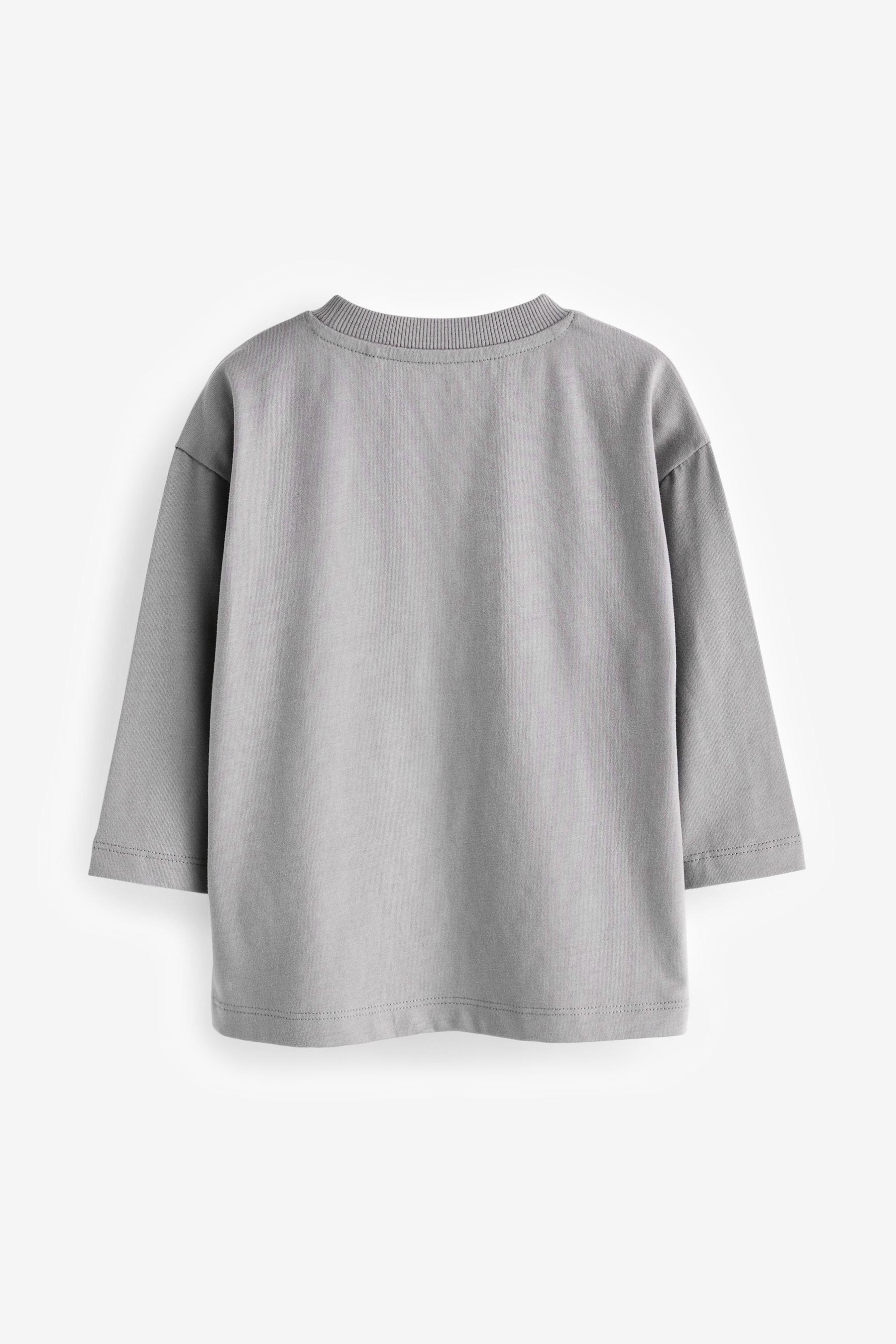 Linear Animals T-Shirt mit Grey Langärmeliges (1-tlg) Langarmshirt Motiv Next