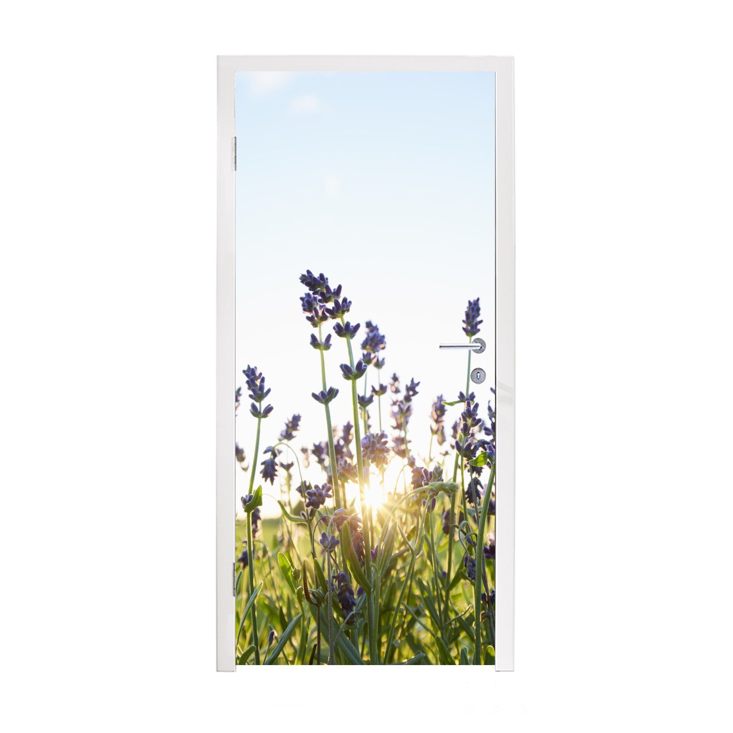 MuchoWow Türtapete Nahaufnahme von Lavendel bei Sonnenuntergang, Matt, bedruckt, (1 St), Fototapete für Tür, Türaufkleber, 75x205 cm