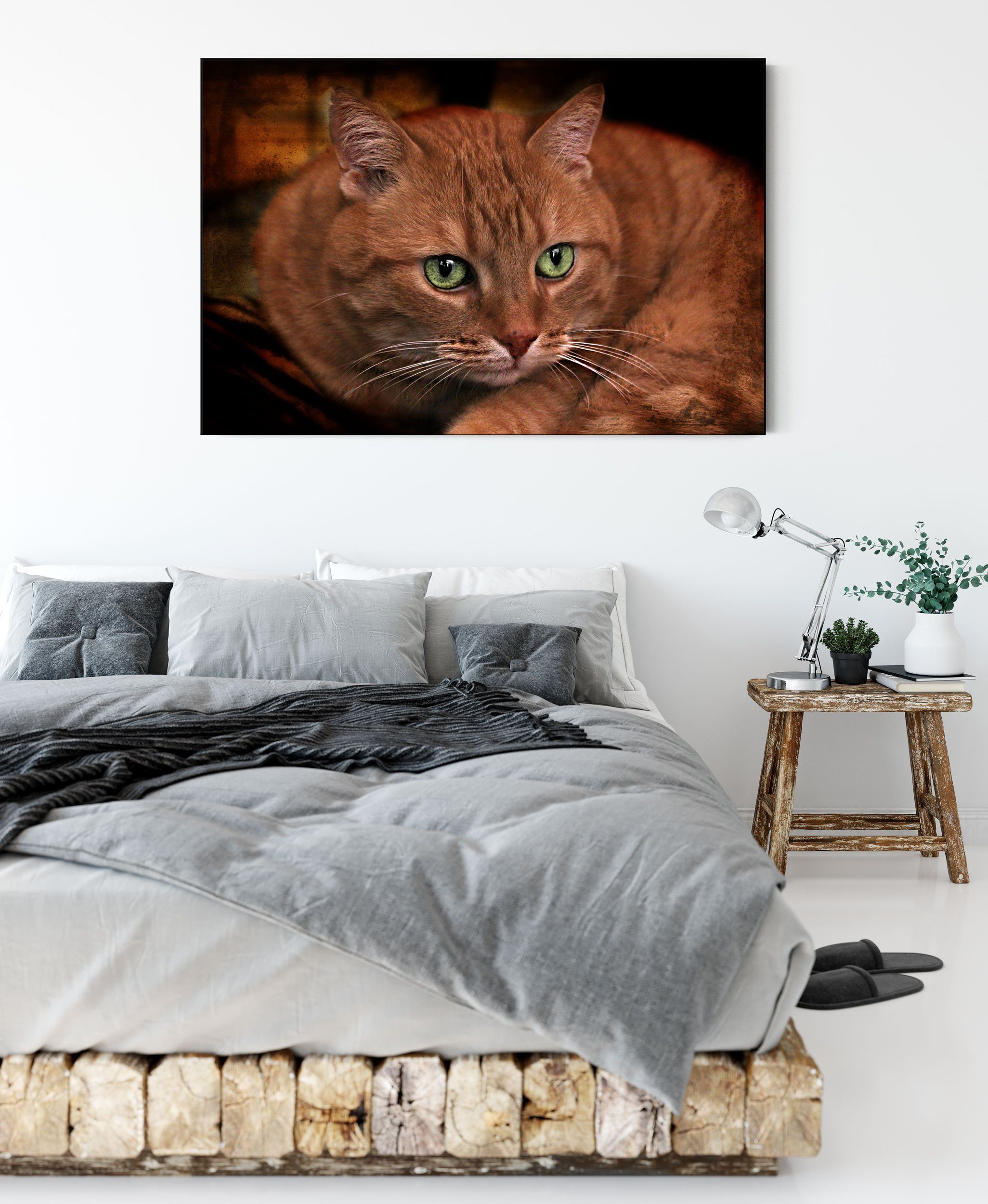 Pixxprint Leinwandbild schöne Hauskatze, schöne Hauskatze (1 St), Leinwandbild fertig bespannt, inkl. Zackenaufhänger