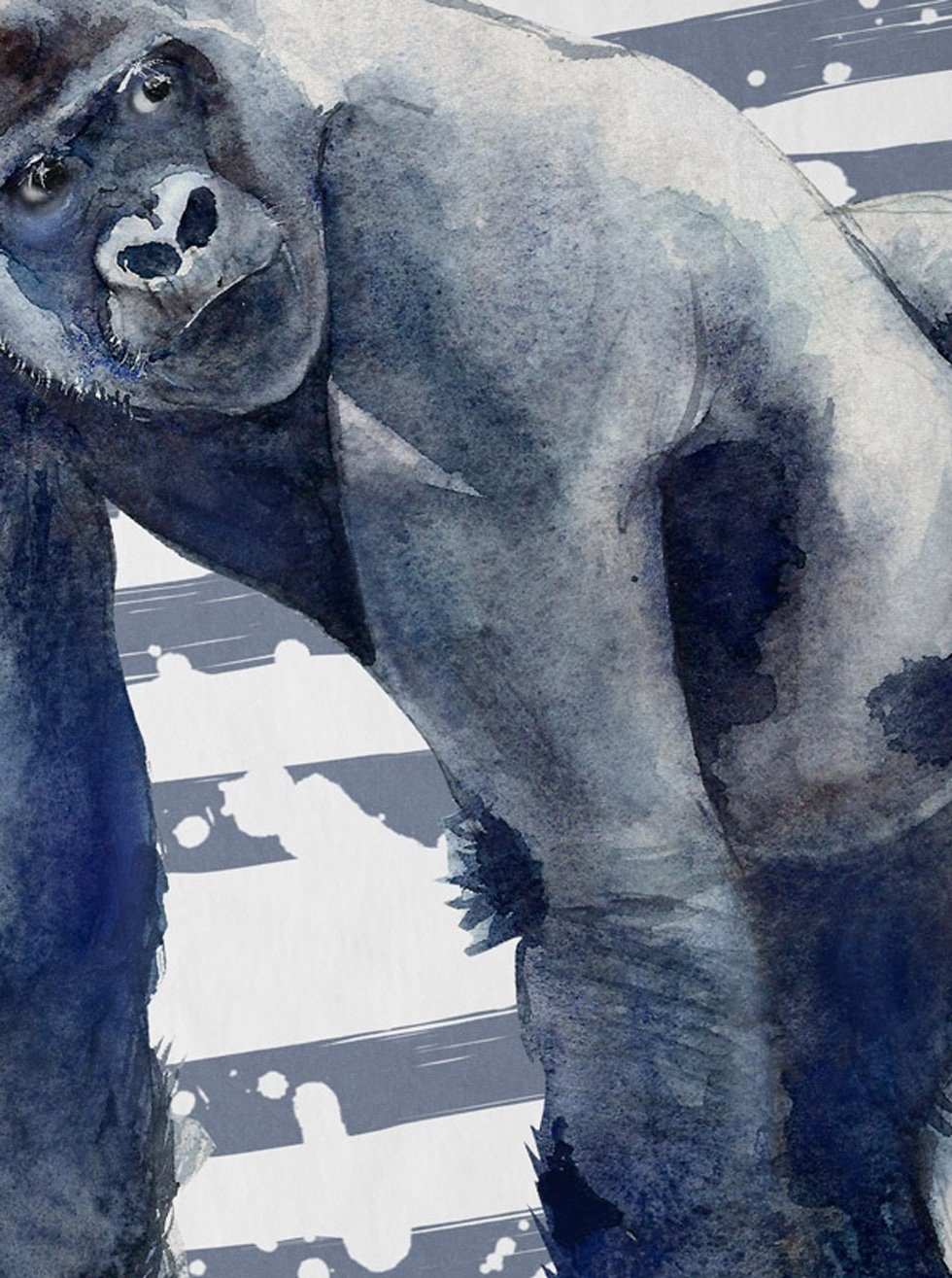 style3 T-Shirt Gorilla safari zoo dschungel sommer günstig online kaufen