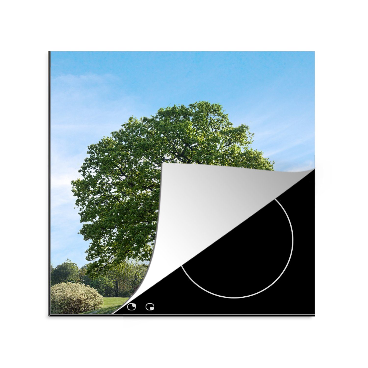 MuchoWow Herdblende-/Abdeckplatte Einsame Eiche an einem Sommernachmittag, Vinyl, (1 tlg), 78x78 cm, Ceranfeldabdeckung, Arbeitsplatte für küche