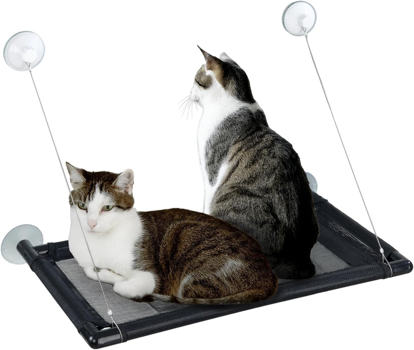 Maximex Katzen-Hängematte Maximex XXL-Hängematte, Fenster Liegematte für 2 Katzen