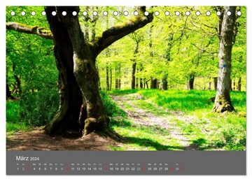 CALVENDO Wandkalender Bäume (Tischkalender 2024 DIN A5 quer), CALVENDO Monatskalender