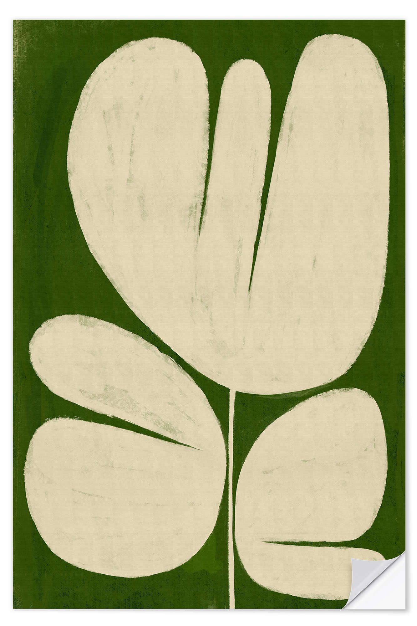 Posterlounge Wandfolie ATELIER M, Große weiße Blume auf Grün, Wohnzimmer Modern Malerei