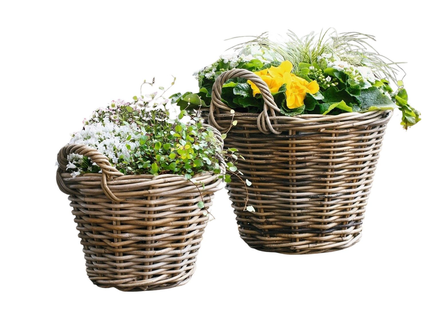 Dekoleidenschaft Pflanzkübel Pflanzkorb "Rattan", grau gekalkt, Blumentopf, Pflanztopf, Blumenkübel, Rattankorb, Flechtkorb, Pflanzentopf, Gartendeko für Draußen
