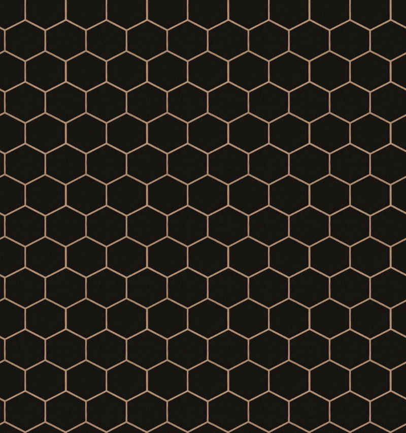 WOW Vliestapete Hexagon Geo, geometrisch, (1 St), Schwarz - 10m x 52cm