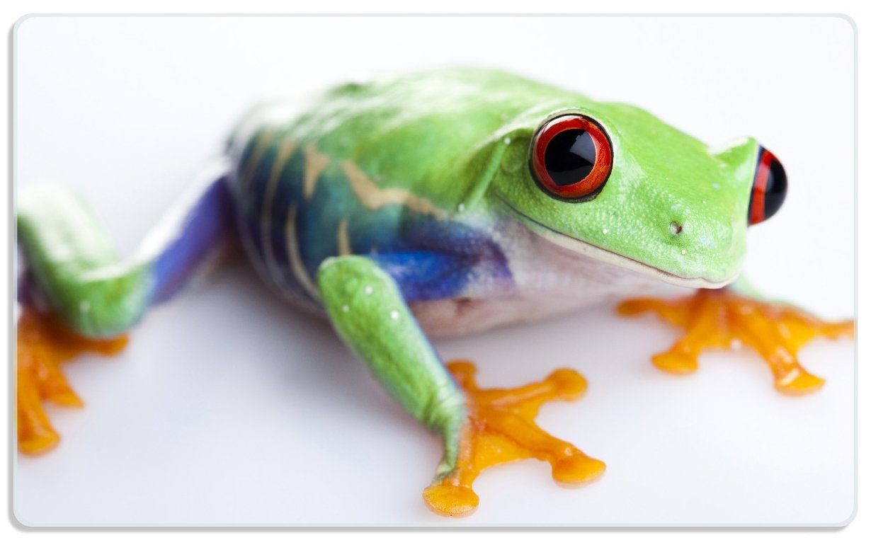 Wallario Frühstücksbrett Lustiger Frosch in grün und orange, ESG-Sicherheitsglas, (inkl. rutschfester Gummifüße 4mm, 1-St), 14x23cm