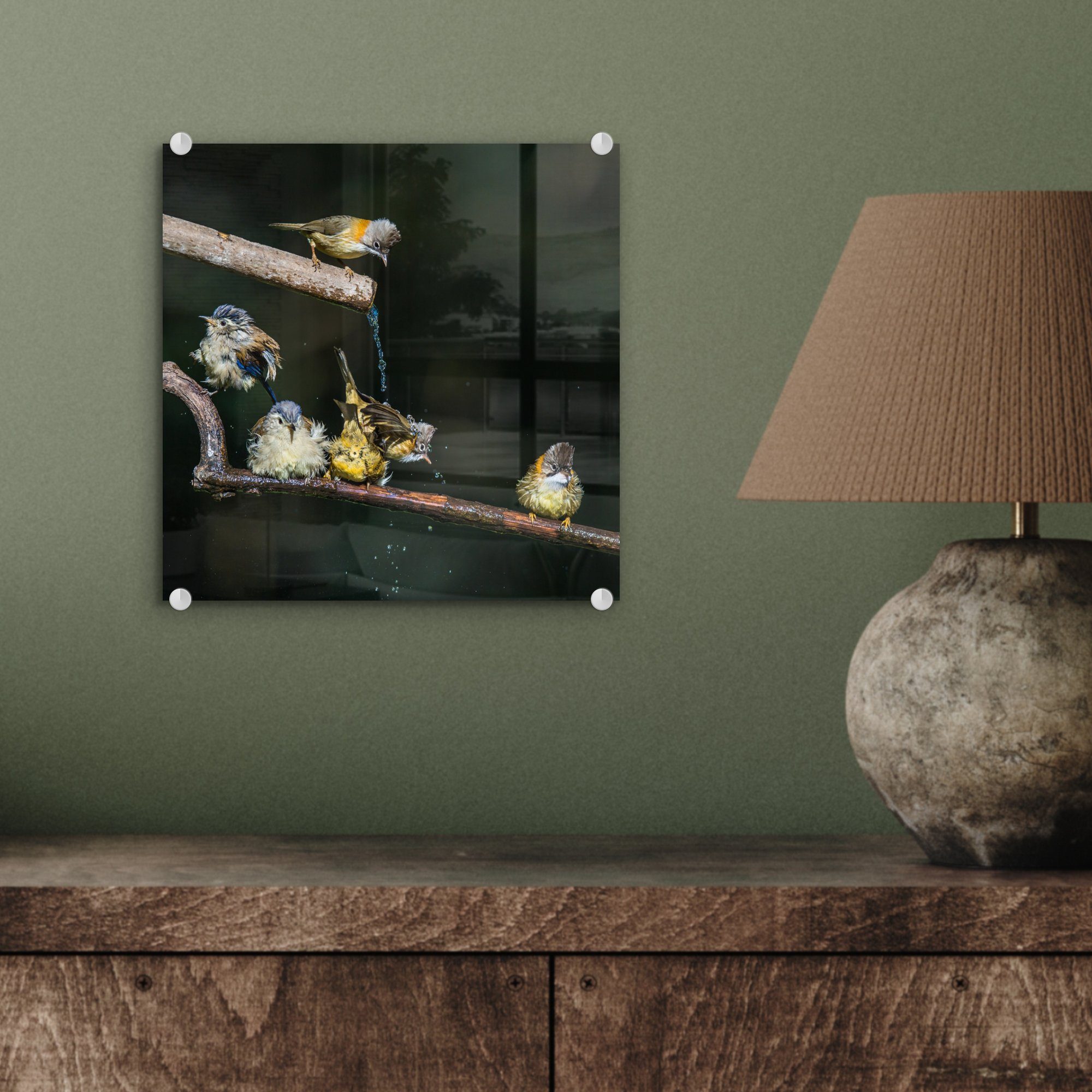 Acrylglasbild Wandbild Foto auf - auf Wasser, - St), Wanddekoration Vogel Zweig Glas Glasbilder - Bilder - (1 Glas MuchoWow -