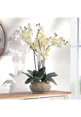 SCHNEIDER Искусственное растение »Orchidee...