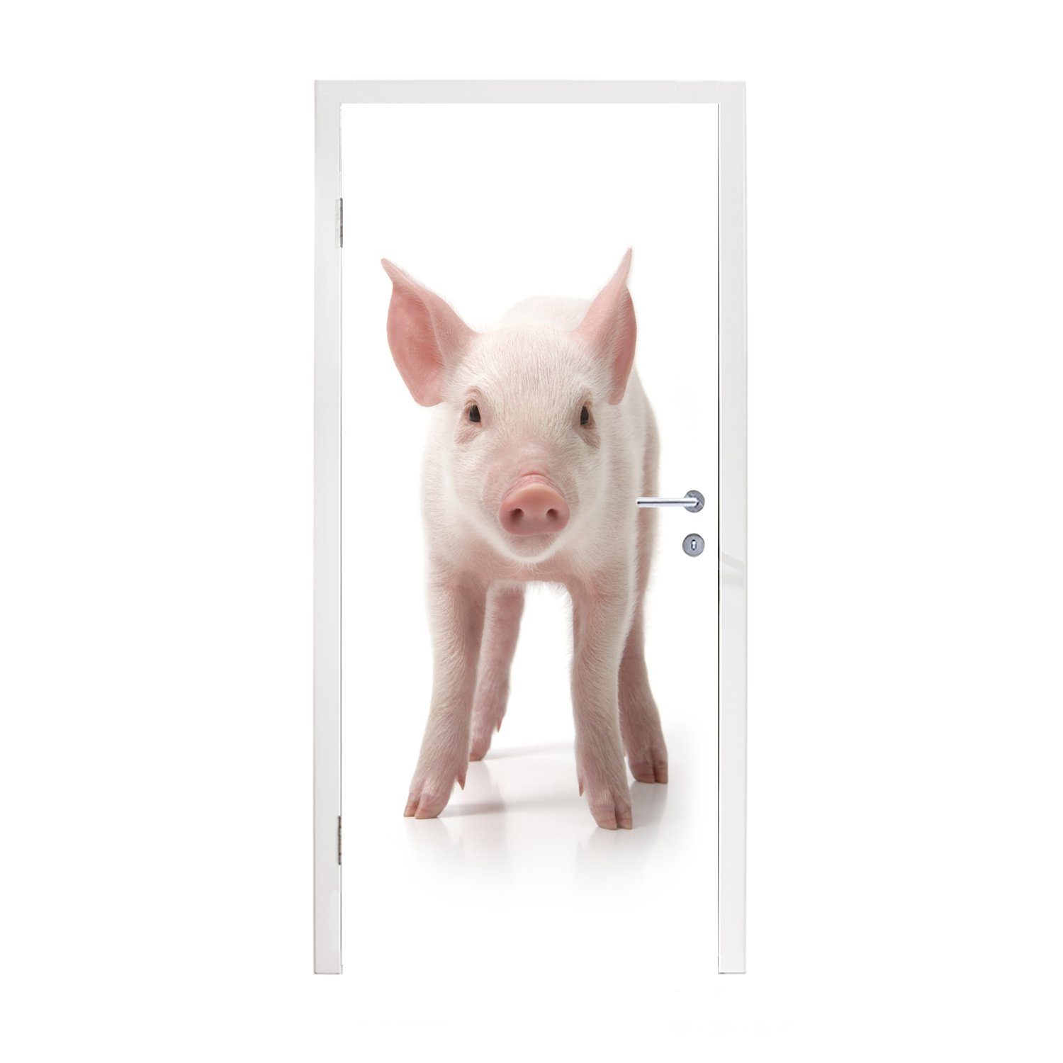 MuchoWow Türtapete Schwein - Weiß, St), - für Tiere 75x205 (1 Fototapete Türaufkleber, Matt, cm Tür, bedruckt