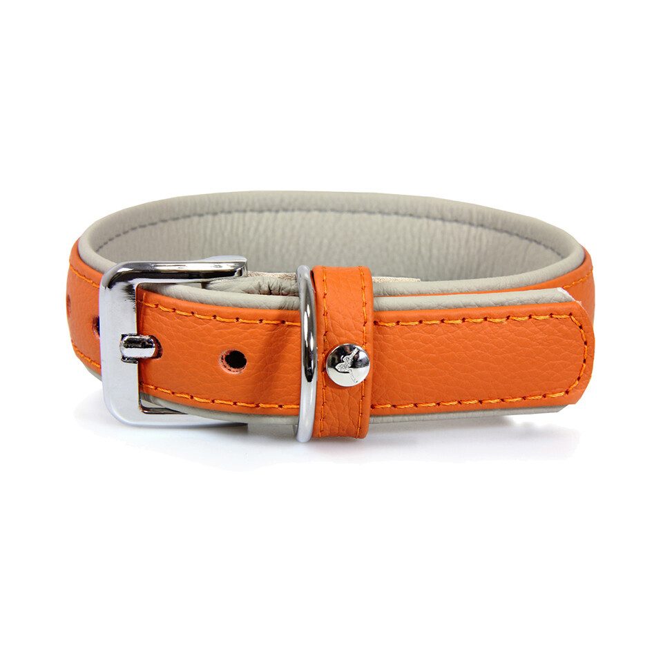 Das Lederband Hunde-Halsband Hundehalsband Amsterdam orange/grey