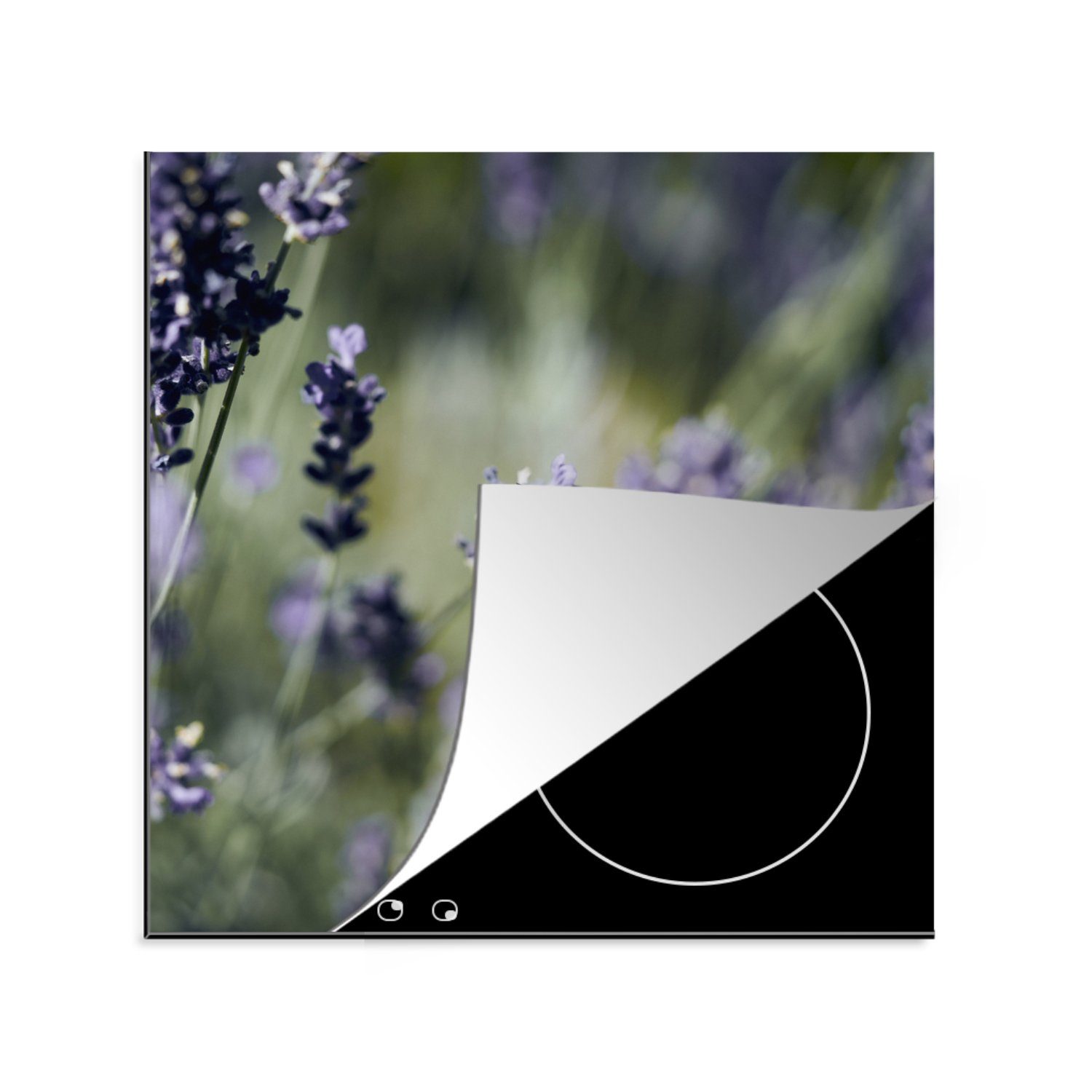 MuchoWow Herdblende-/Abdeckplatte Hummeln - Lavendel - Insekten, Vinyl, (1 tlg), 78x78 cm, Ceranfeldabdeckung, Arbeitsplatte für küche