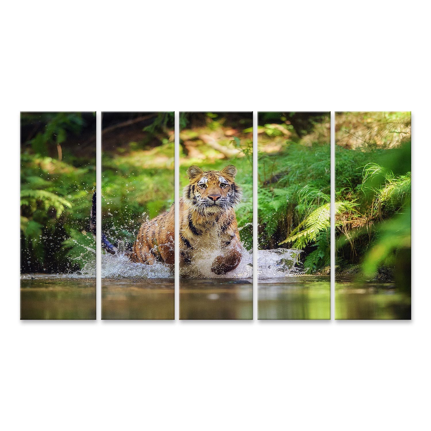 islandburner Leinwandbild SibirischerTiger Läuft Fluss Spritzen Wasser Jagd Tier Beten Bilder