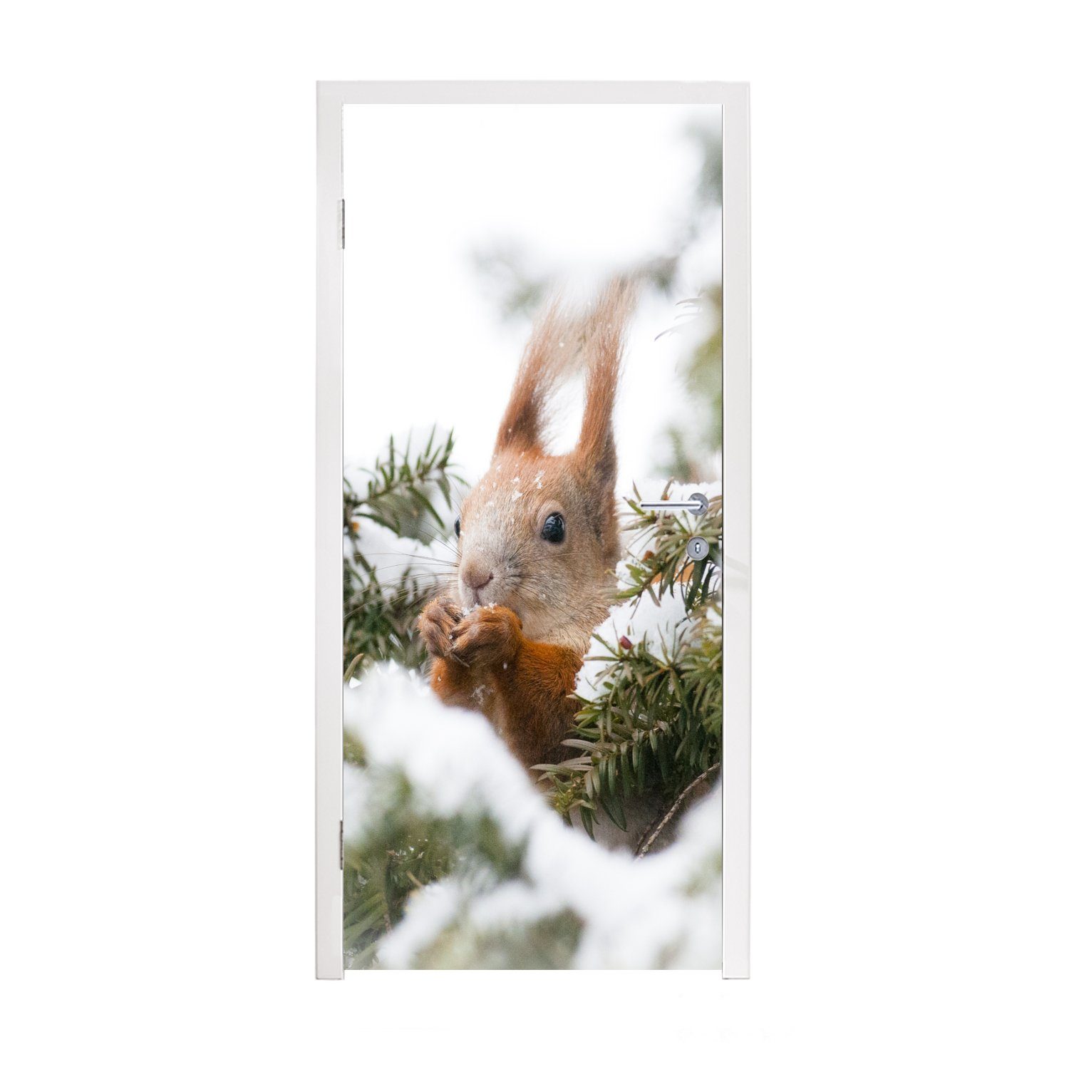 MuchoWow Türtapete Eichhörnchen - Kiefer - Schnee, Matt, bedruckt, (1 St), Fototapete für Tür, Türaufkleber, 75x205 cm | Türtapeten